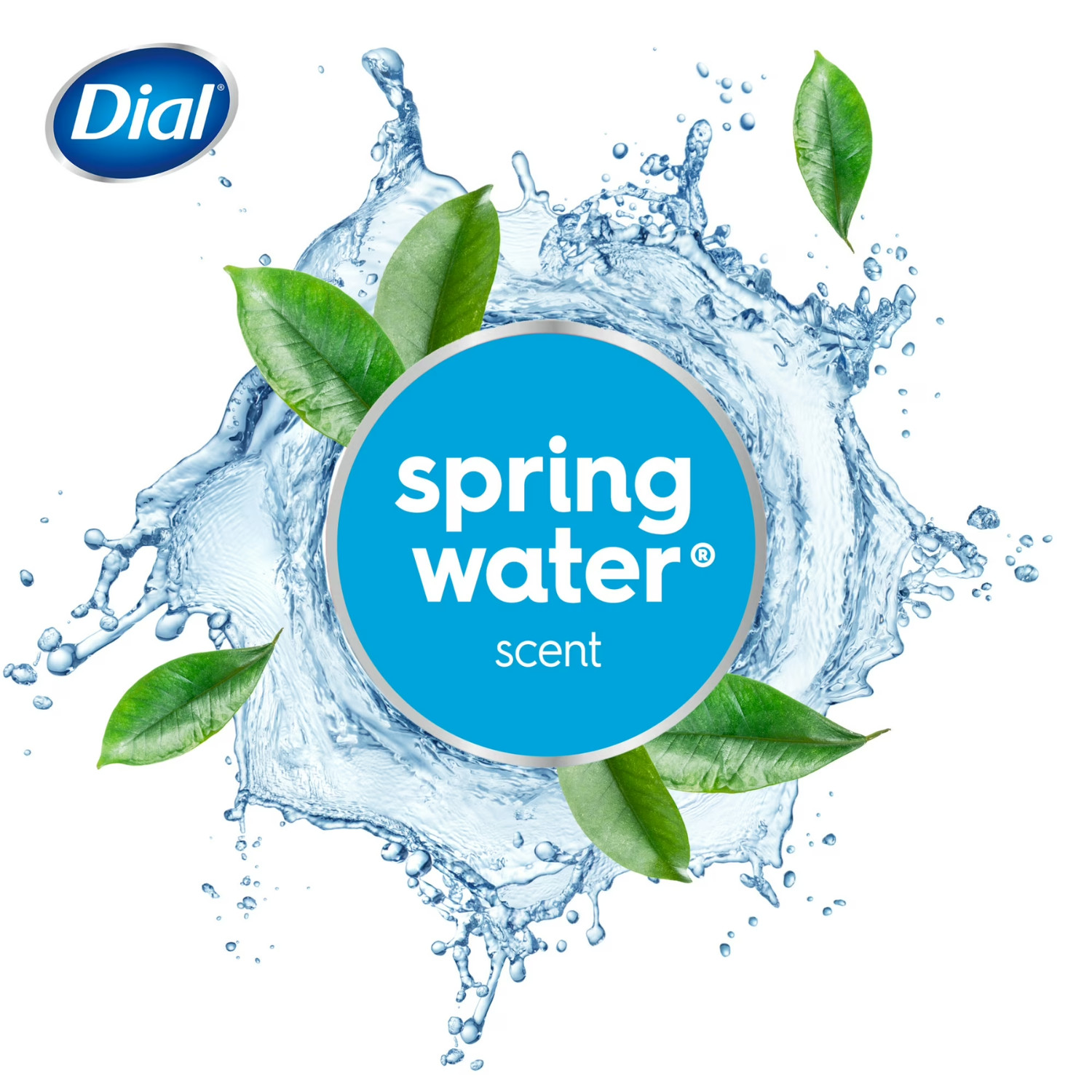 Dial Antibacterial Bar Soap Spring Water 12 Bars 4 oz Each