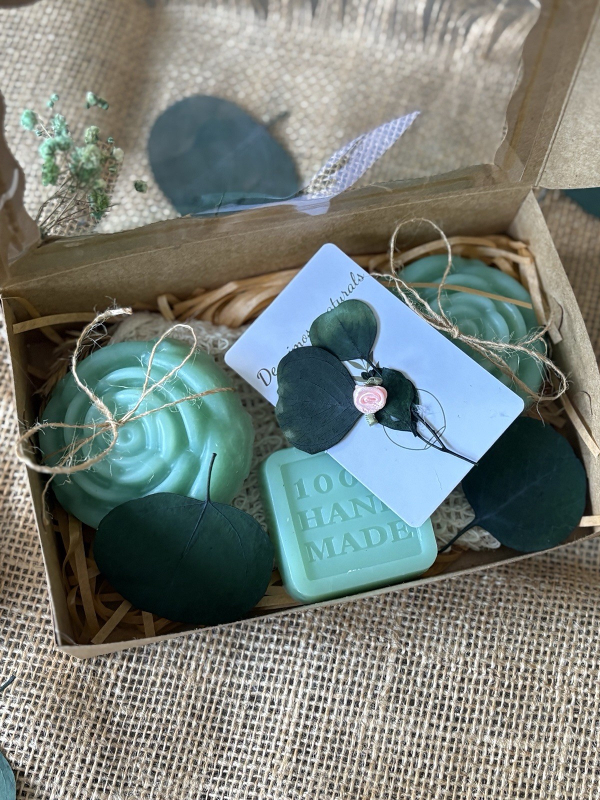 Set regalo de jabones artesanales de sábila | Aloe Vera 100% handmade