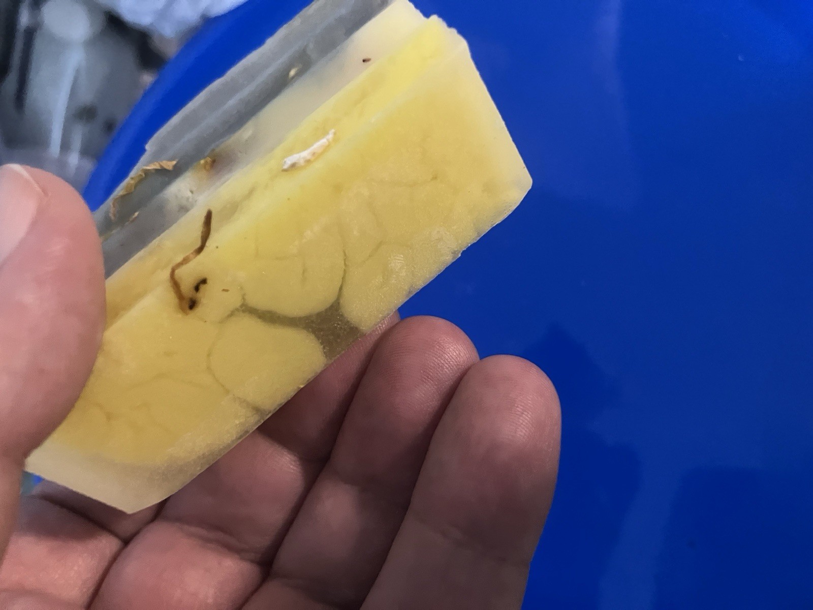 Handmade Layered Gray & Yellow Oatmeal Soap Bar with Oats, 4 oz, Body & Hands