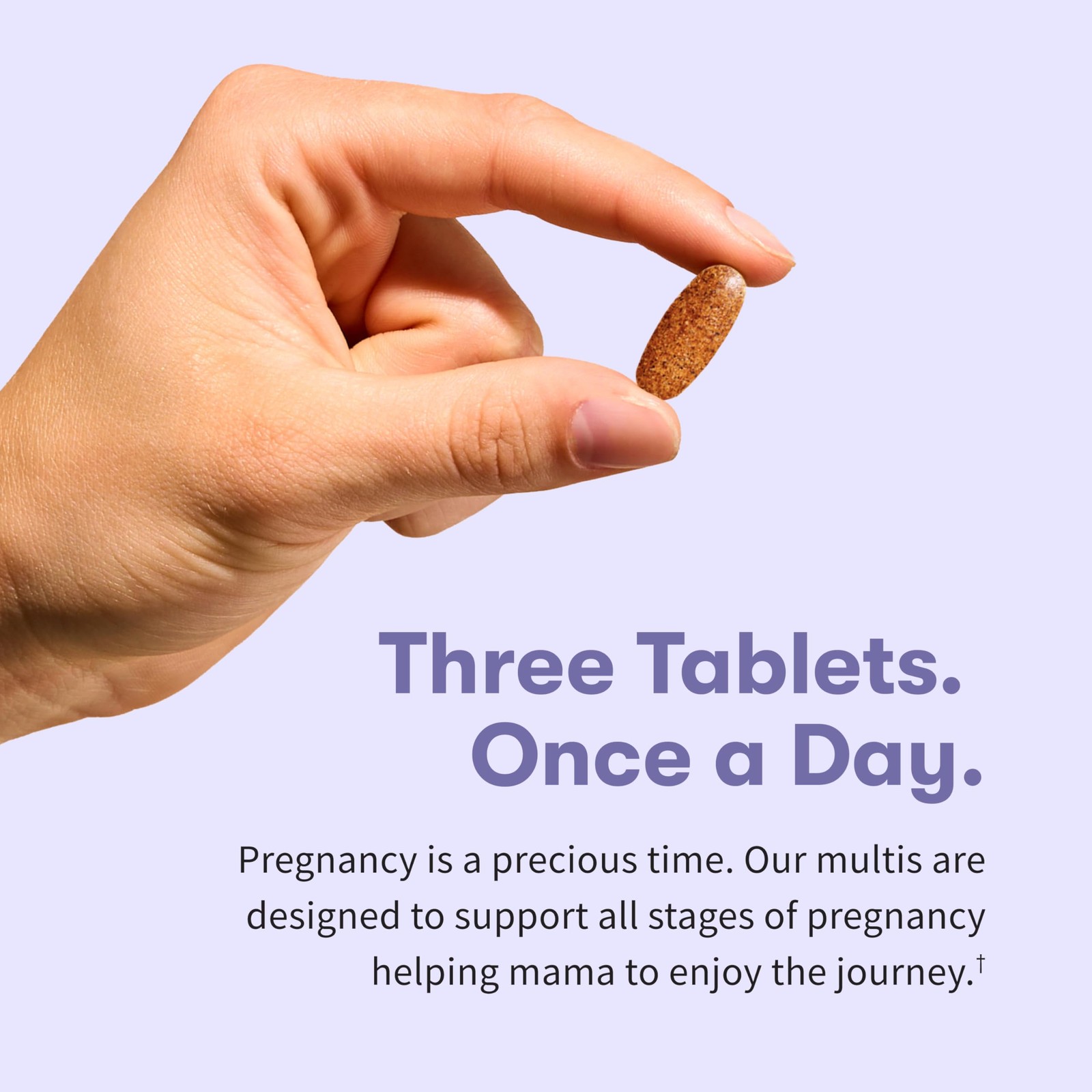 Garden of Life Organics Prenatal Multivitamin with 90 Count (Pack 1)