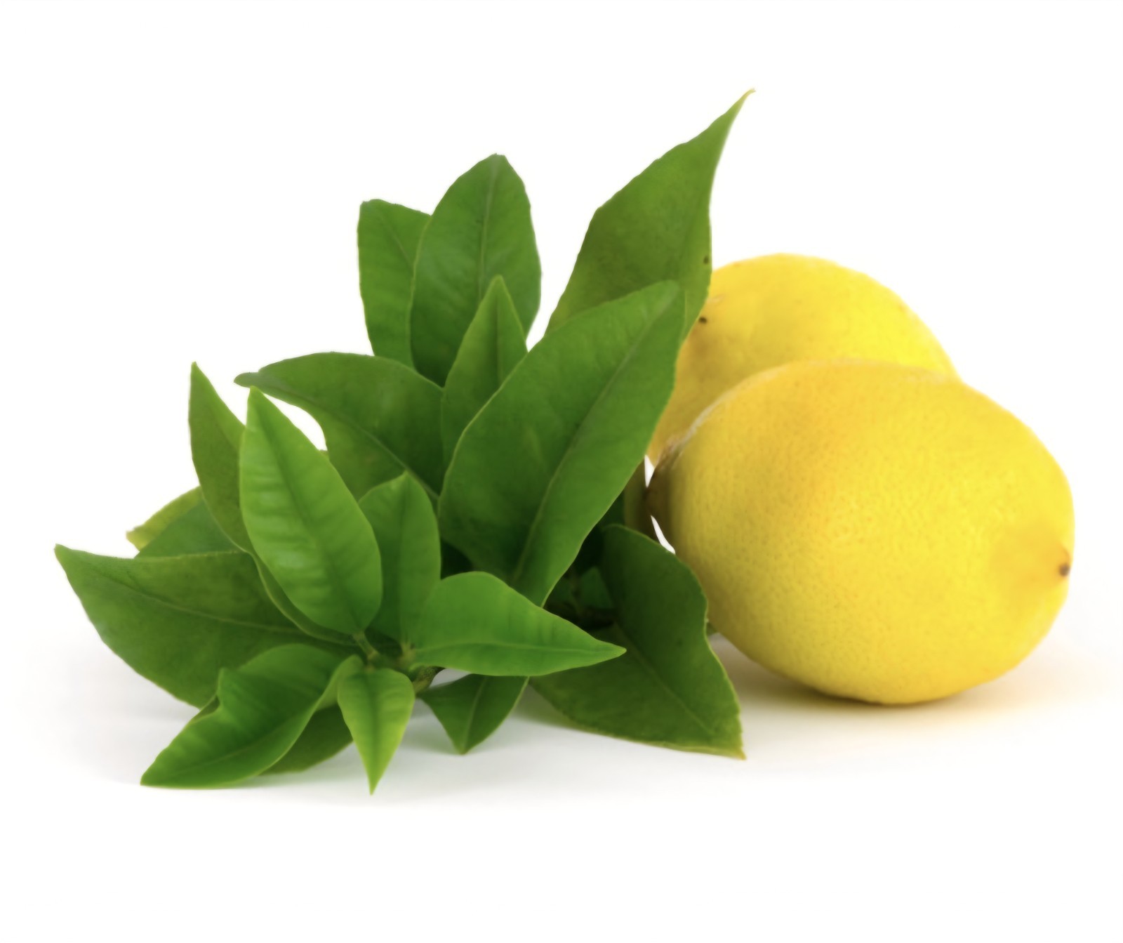 NEW! YARDLEY LONDON (4.0 Oz.) 113g Bar 🍋●LEMON VERBENA● Moisturizing Bar Soap🫧