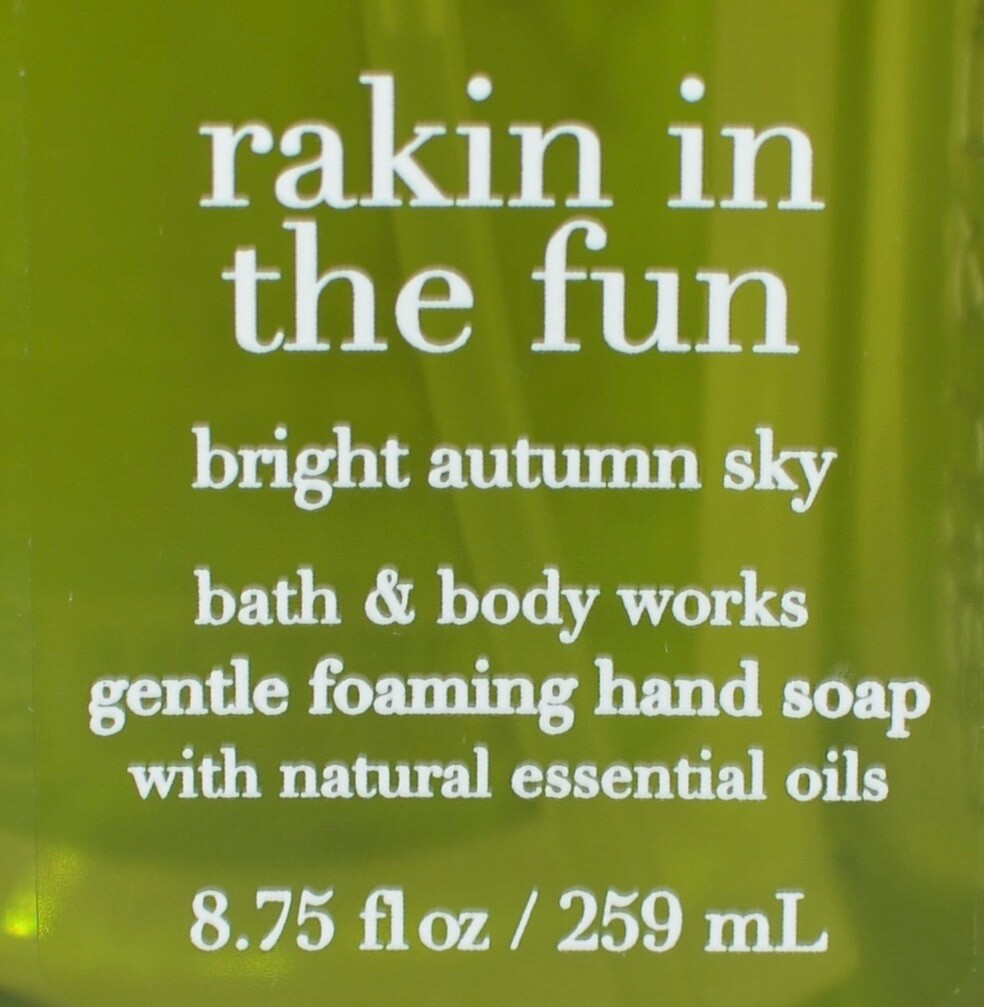 2 BATH & BODY WORKS RAKIN IN FUN BRIGHT AUTUMN SKY GENTLE FOAMING HAND SOAP WASH