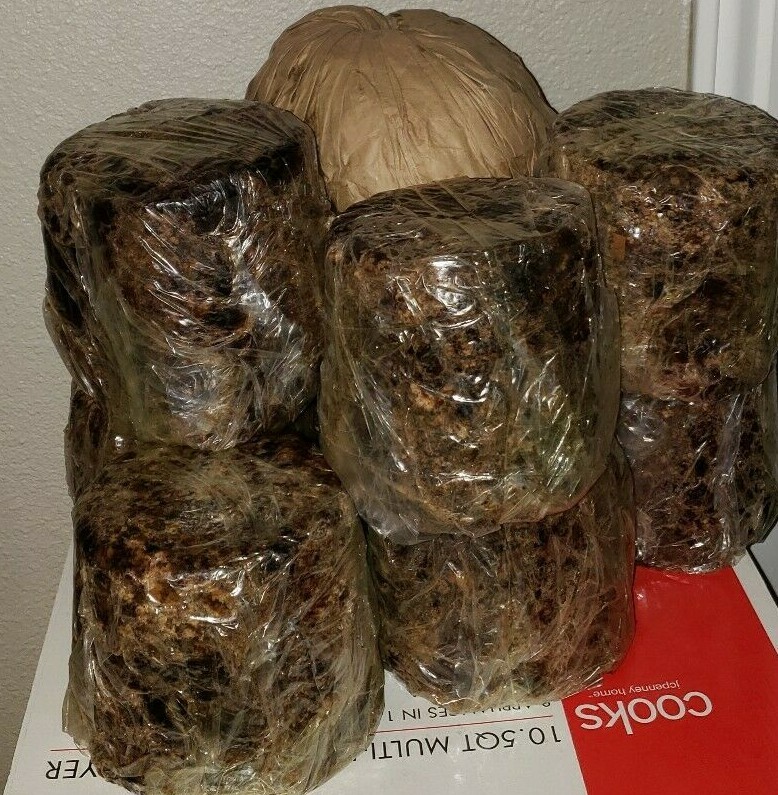 Raw African Black Soap, Handmade in Ghana 2 oz.- 10 lbs.