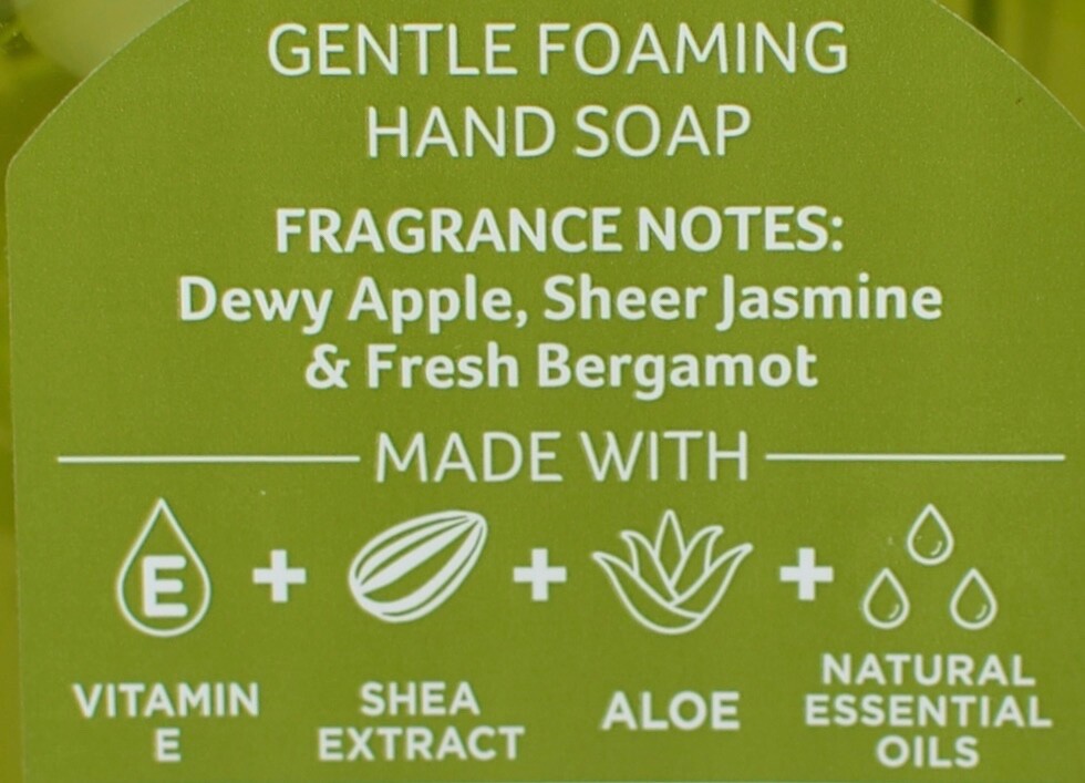 2 BATH & BODY WORKS RAKIN IN FUN BRIGHT AUTUMN SKY GENTLE FOAMING HAND SOAP WASH