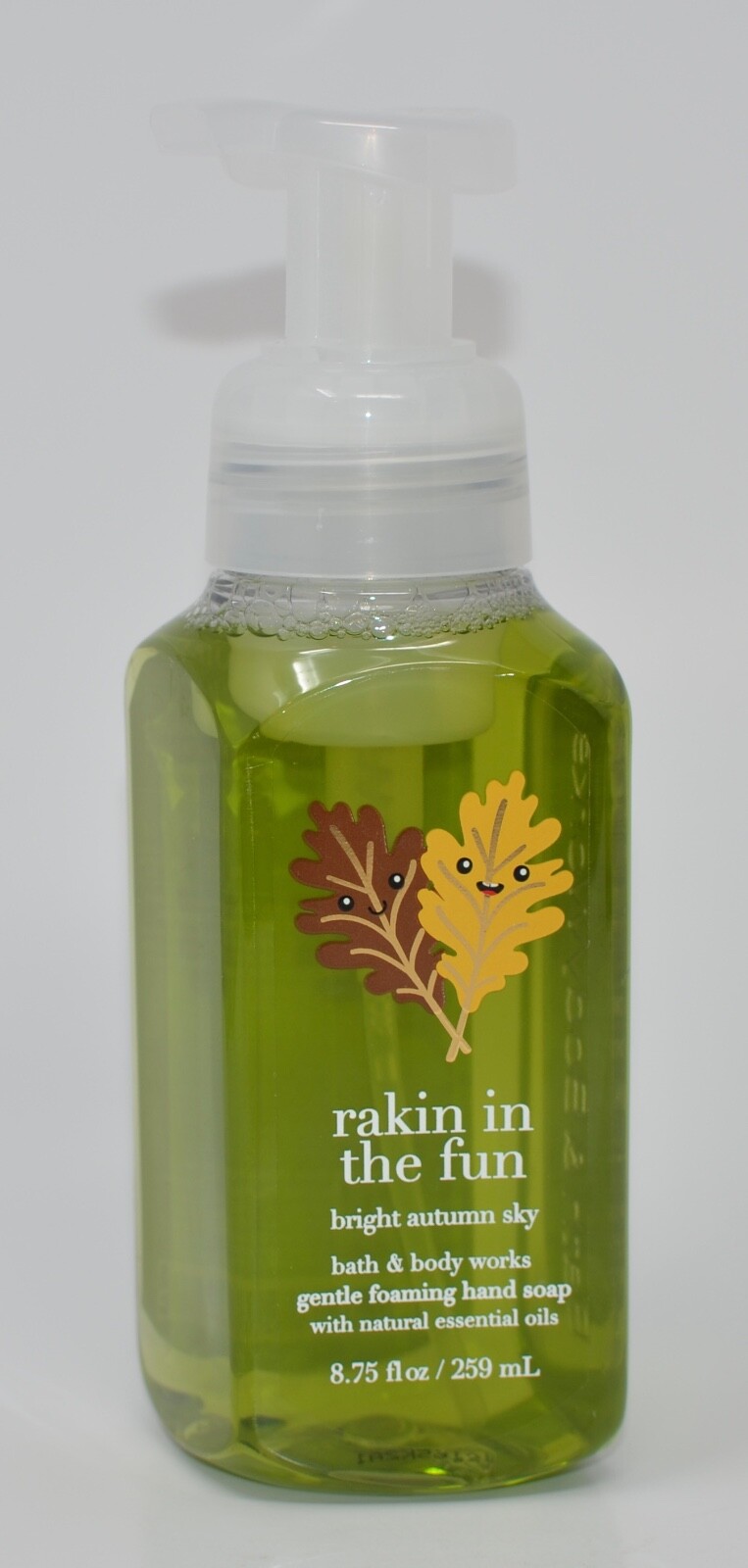 2 BATH & BODY WORKS RAKIN IN FUN BRIGHT AUTUMN SKY GENTLE FOAMING HAND SOAP WASH