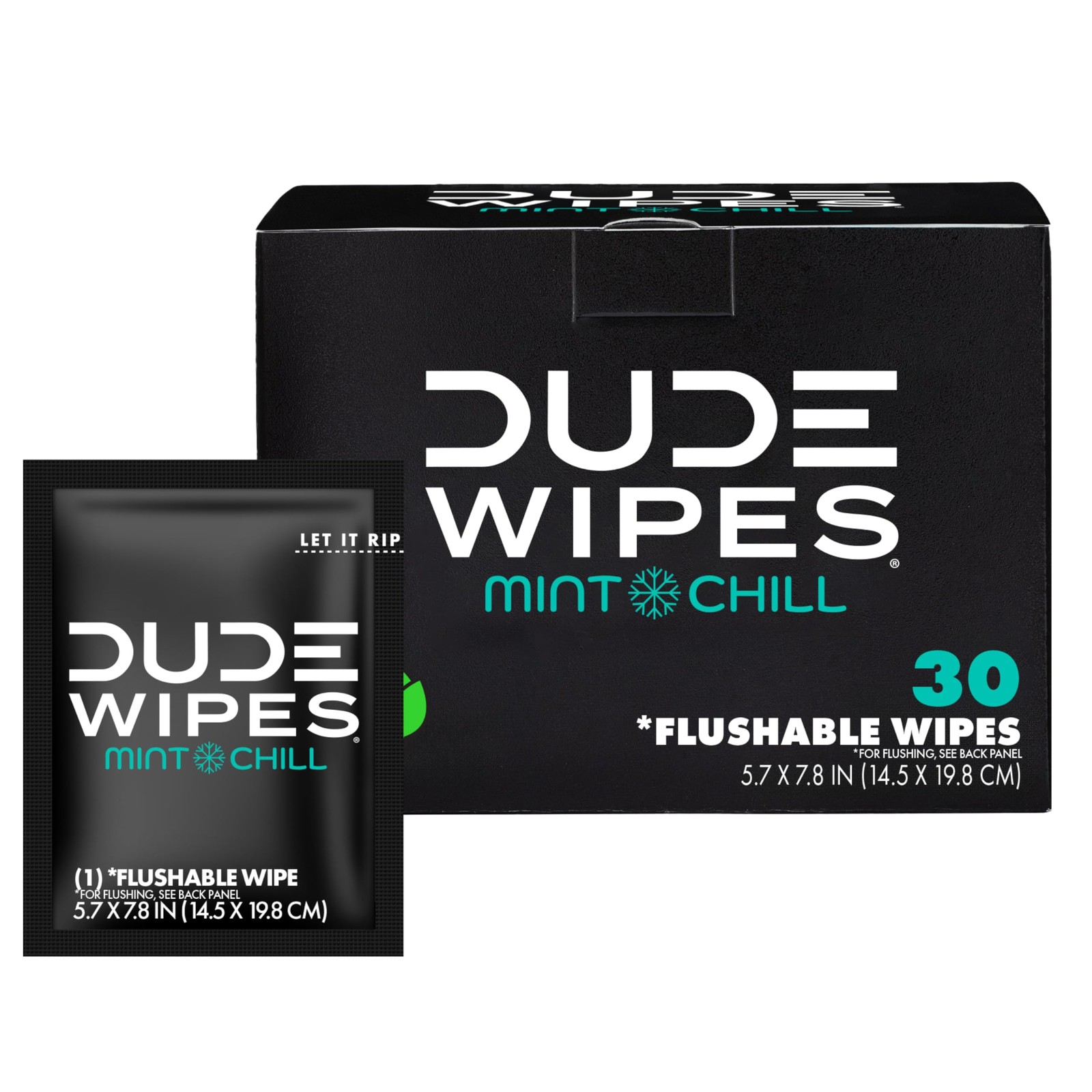 DUDE Wipes On-The-Go Flushable – 1 Pack, 30 30 Count (Pack of 1), black