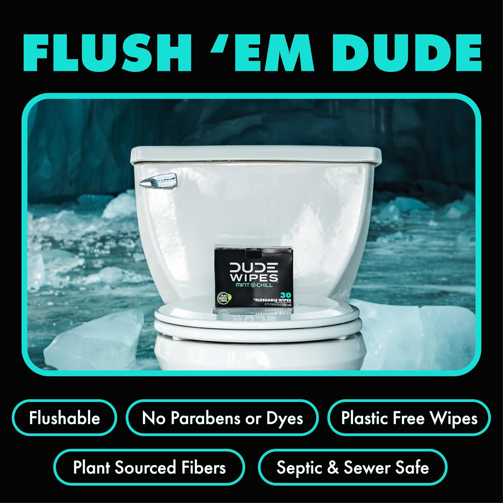 DUDE Wipes On-The-Go Flushable – 1 Pack, 30 30 Count (Pack of 1), black