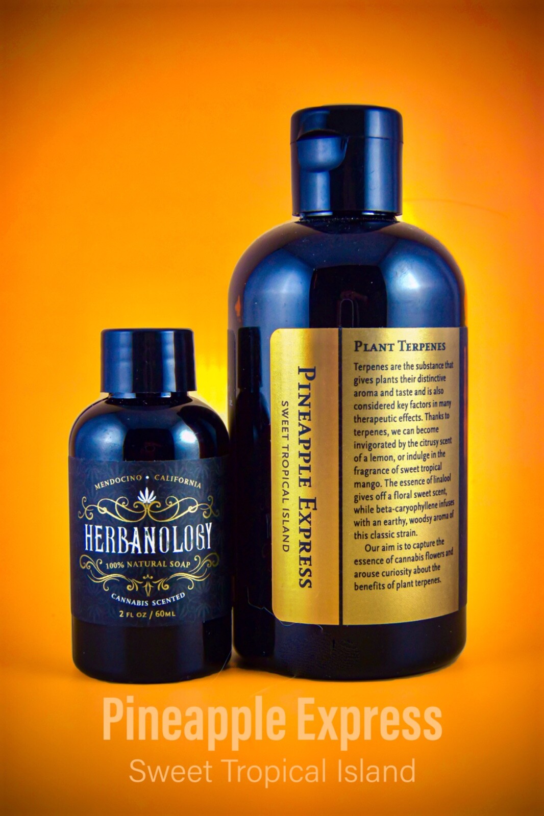 Herbanology 8oz Pineapple Express Organic Liquid Castile All Purpose Soap