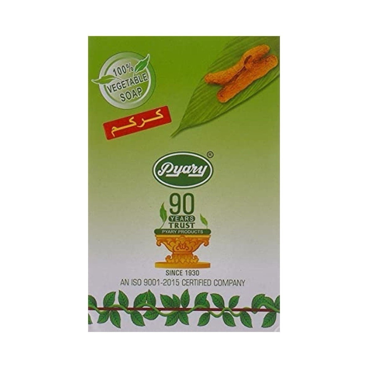 Pyary Ayurvedic Turmeric 100% Vegetable Rectangular Soap for Body, Face, Hands