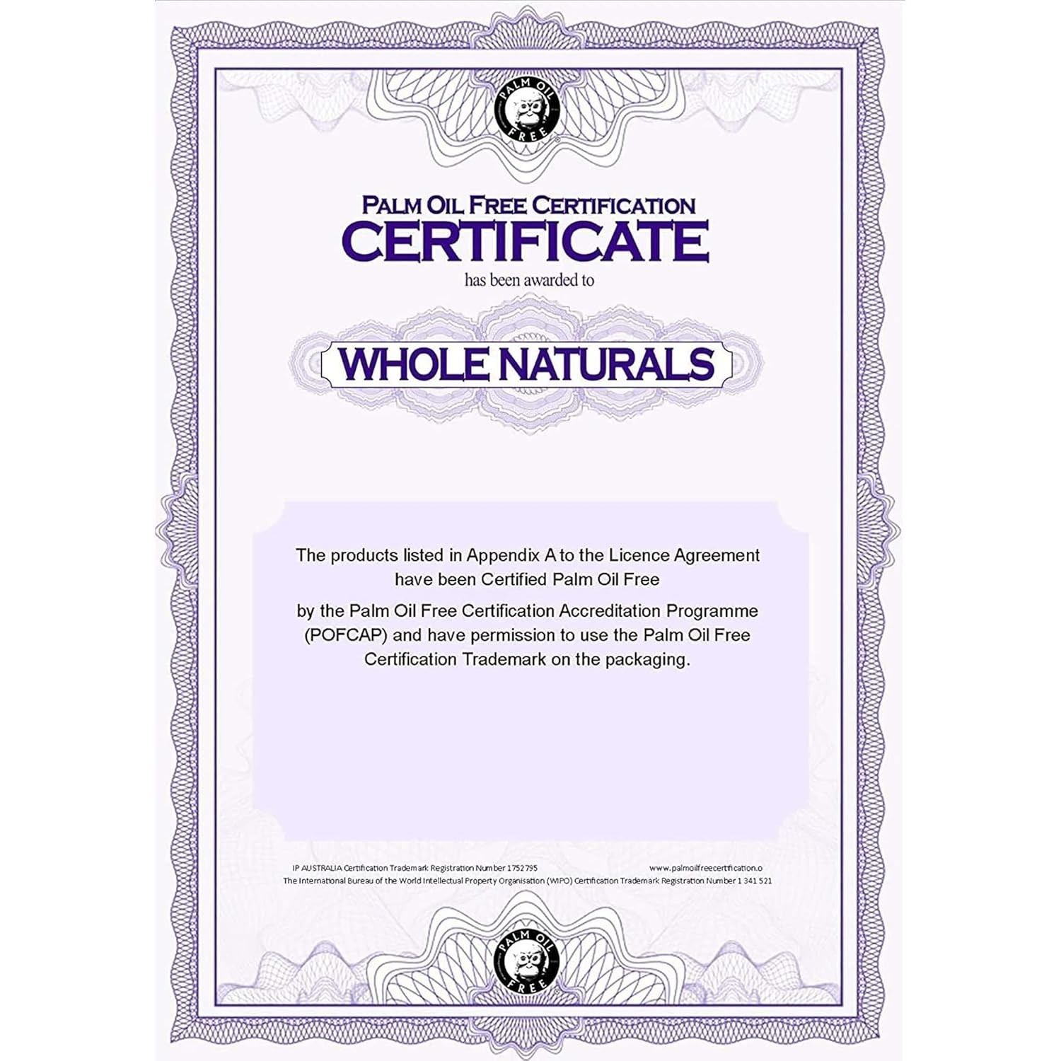 Natural Unscented Castile Soap – 128oz Total | , Cruelty-Free, Eco-Friendly