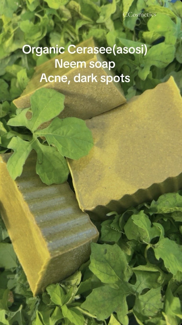 Acne Cerasee (Asosi) Neem Soap Bar for Face & Body Green