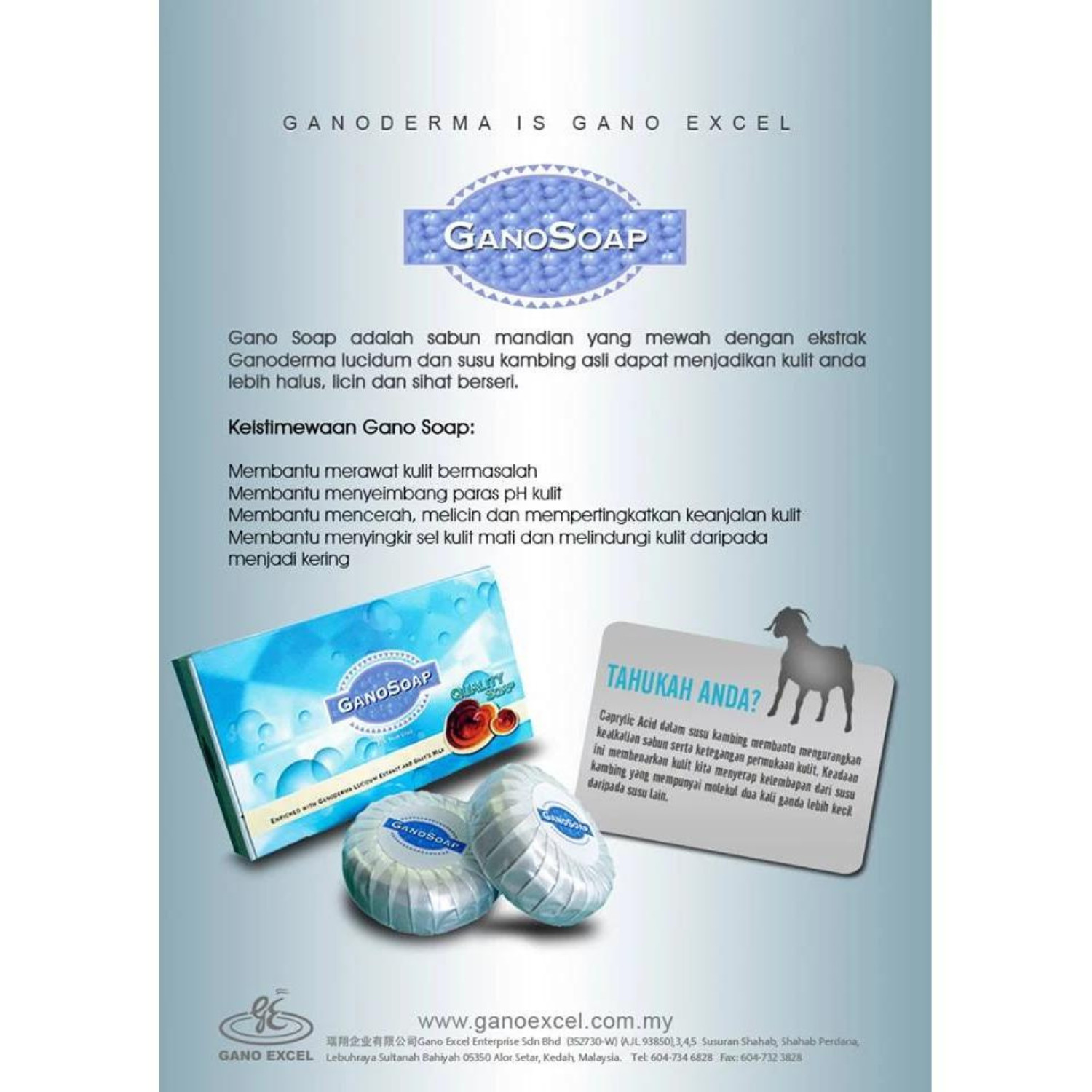 Original Gano Excel Soap Enrich Ganoderma & Goat Milk (2 Bar Per Box) Body Care