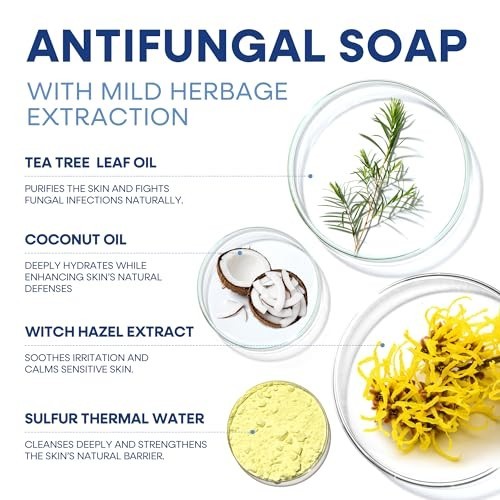 Hermon Antifungal Soap Tea Tree Oil Ringworm Jock Itch 2 Bars