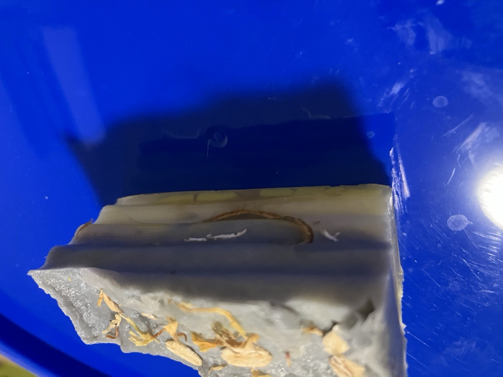 Handmade Layered Gray & Yellow Oatmeal Soap Bar with Oats, 4 oz, Body & Hands