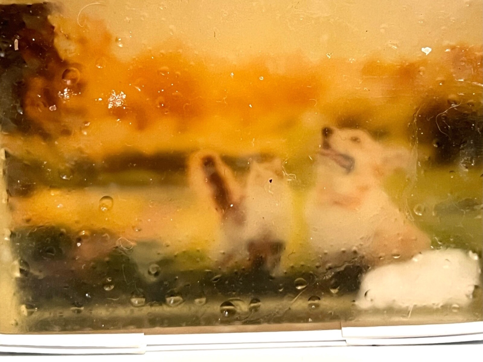 Custom photo soap | Soap w your picture | Gift for a friend | Gift for mother
