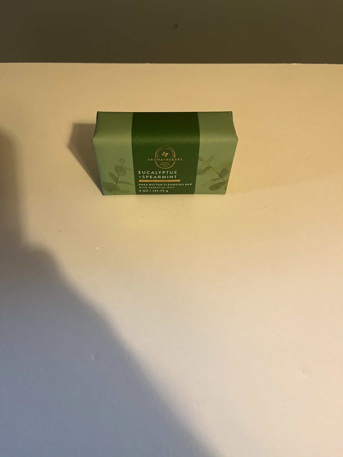 Bath & Body Works Aromatherapy Eucalyptus Spearmint Shea Butter Cleansing Bar
