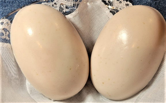 **NEW** Handmade-2 Bar Set-Oatmeal W/Oatmeal Milk & Honey Fragrance Body Bar!!