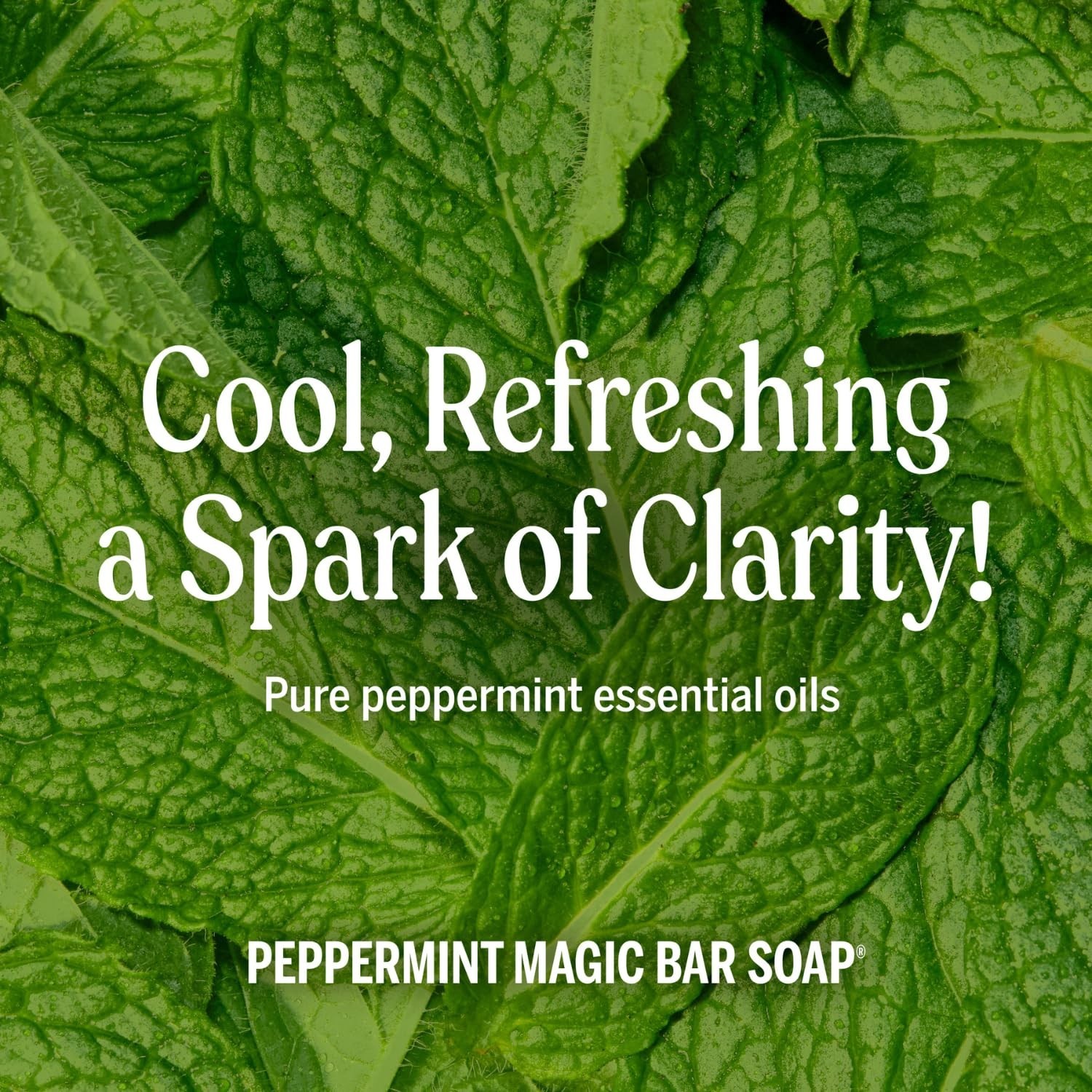 Pure-Castile Magic Liquid Soap Peppermint, 8 Ounce- Made with Organic Oils, 1…