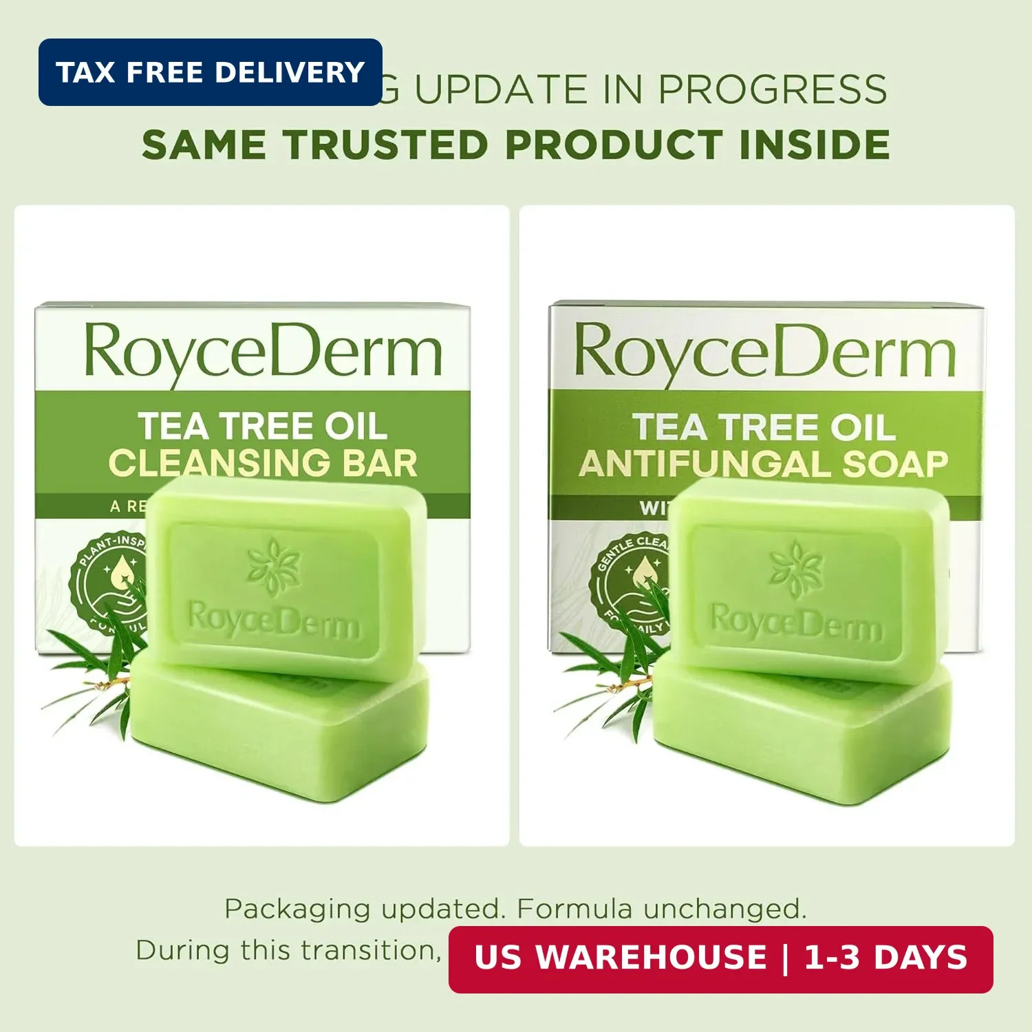 Roycederm Antifungal Bar Soap – Tea tree Oil Soap – Athlete’s Foot Treatment for