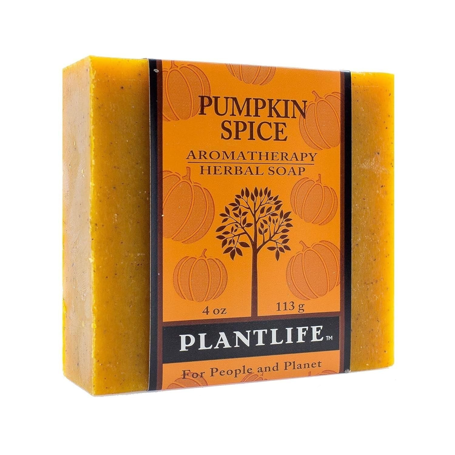 Organic Pumpkin Spice Soap Bar – Soothing Aromatherapy for All Skin Types 4oz