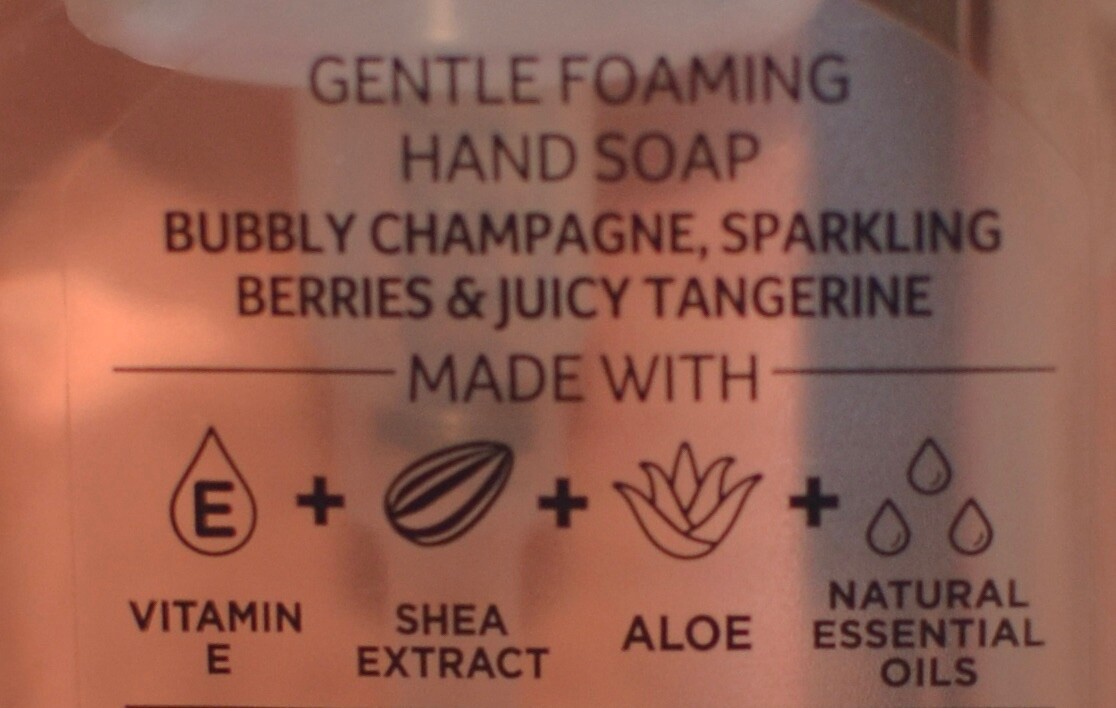 1 NEW BATH & BODY WORKS CHAMPAGNE TOAST GENTLE FOAMING HAND SOAP WASH 8.75 OZ