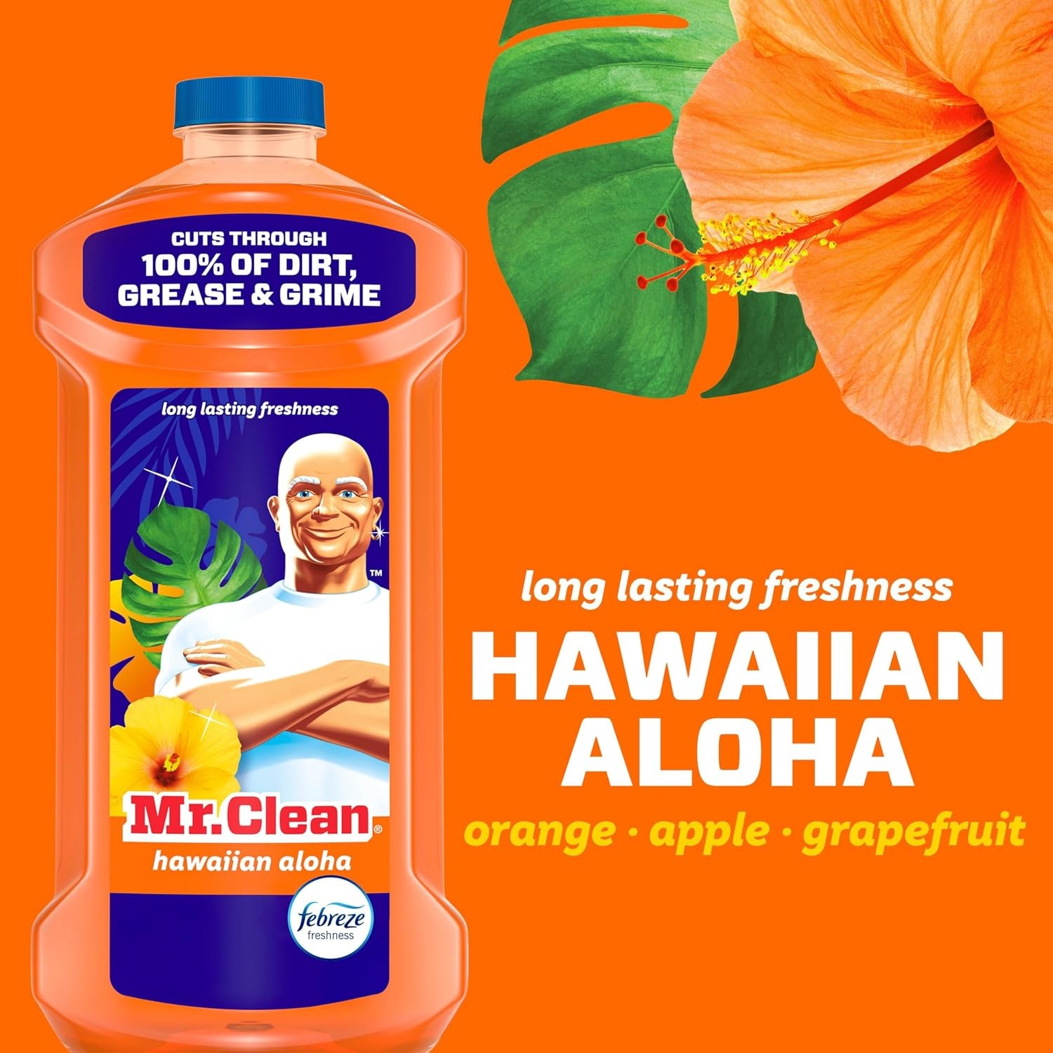 Mr Clean All Purpose Cleaner Mop Soap Floor Cleaner for Home Bathroom