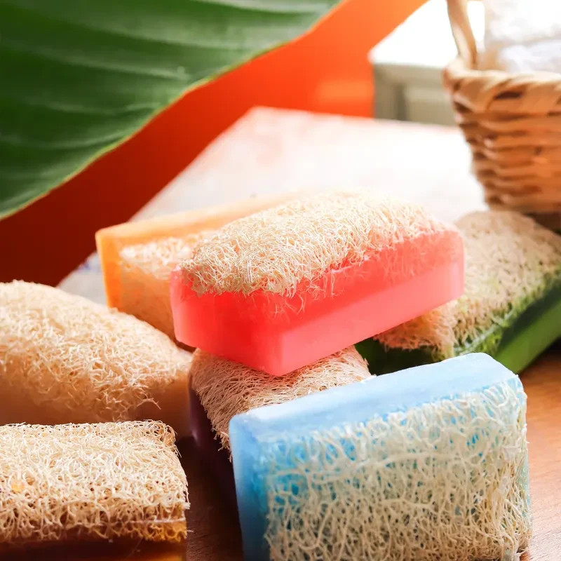 10 Pack Loofah Soap Bars – Vegan Exfoliating Soap Set, Natural Organic Loofah So