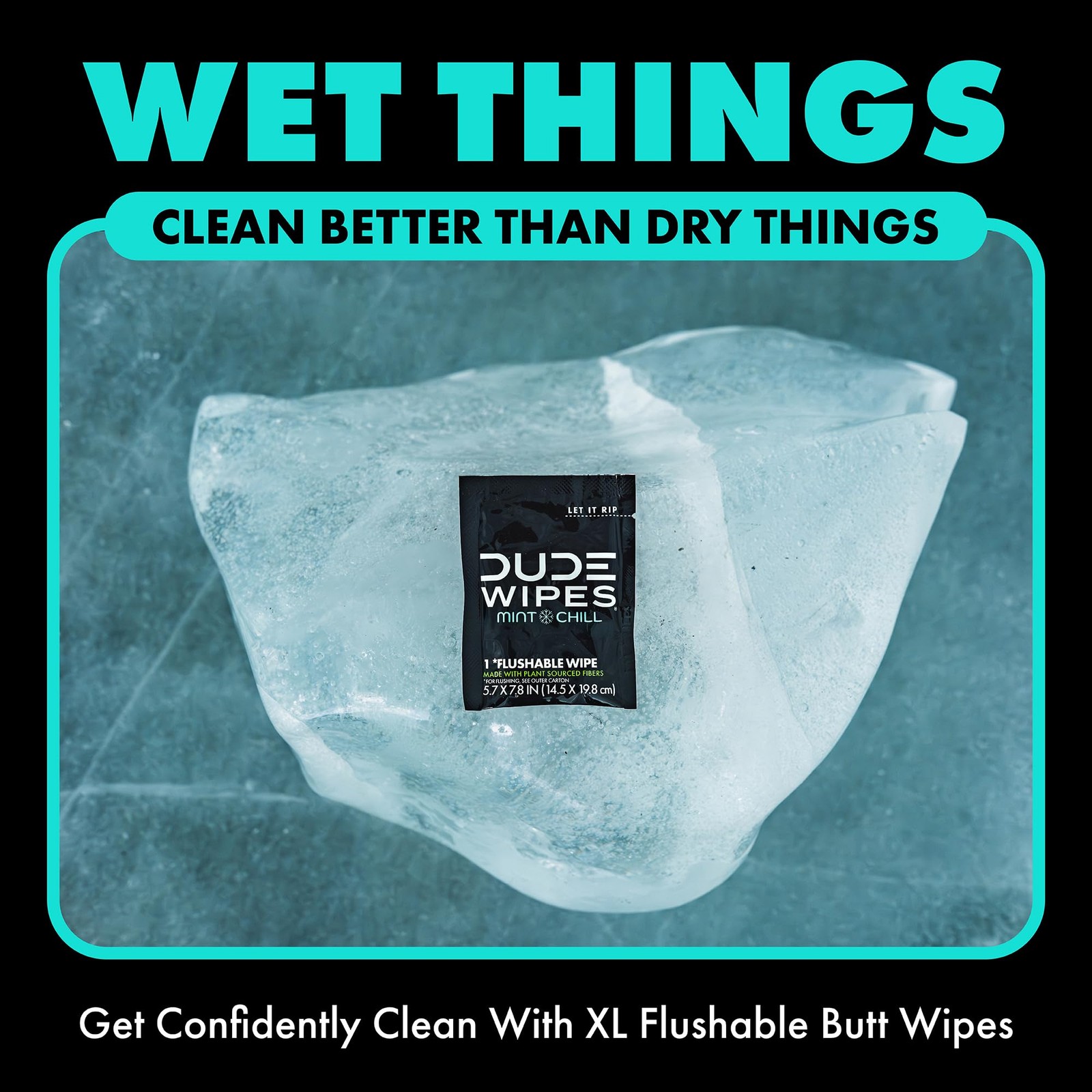 DUDE Wipes On-The-Go Flushable – 1 Pack, 30 30 Count (Pack of 1), black