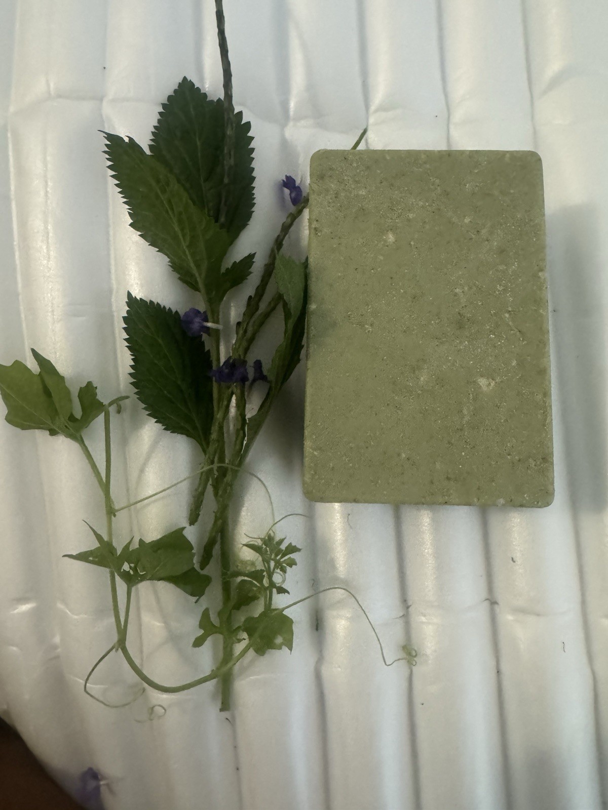 Green Body Bar Soap Rectangular Solid Unisex Women Men Teens
