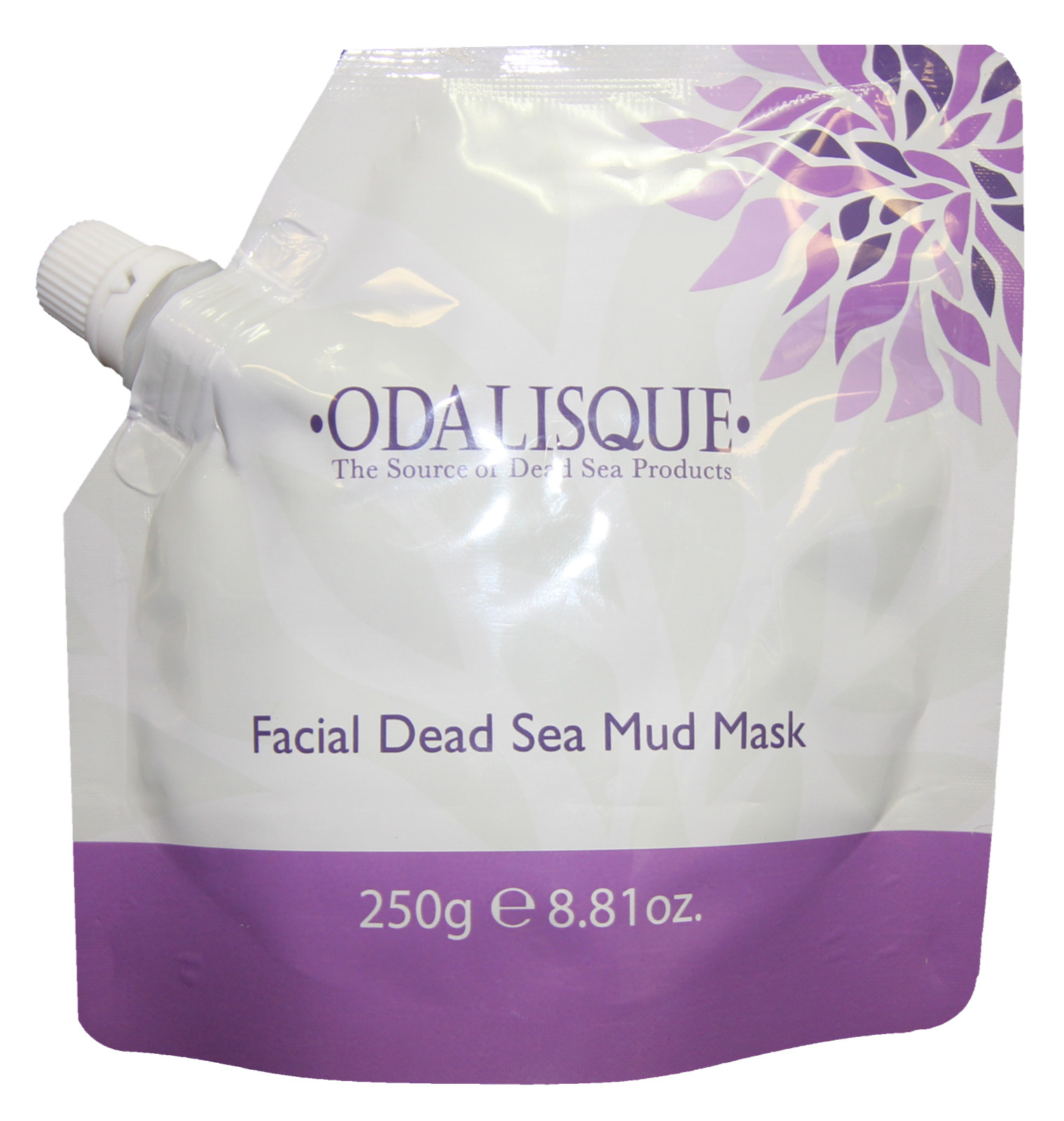 100% Natural Facial Dead Sea Mud Mask