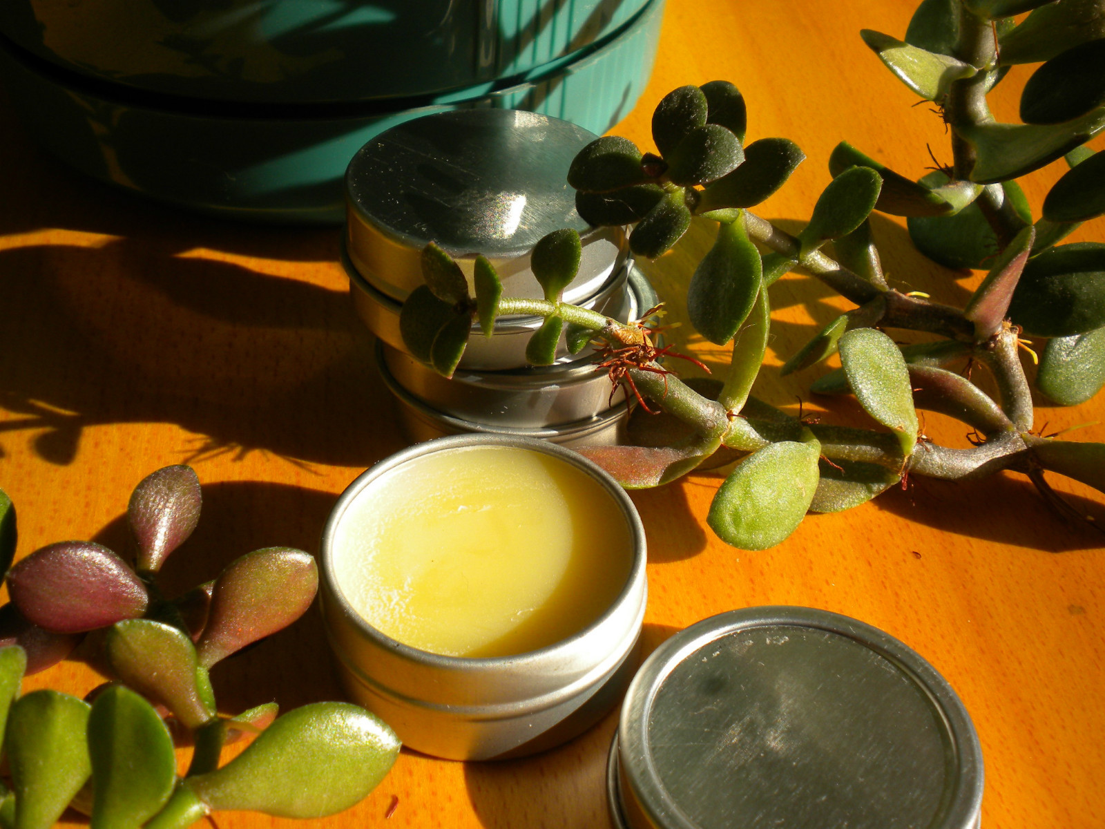 Vegan Perfume Solids II Choose Your Scent .5 ounce