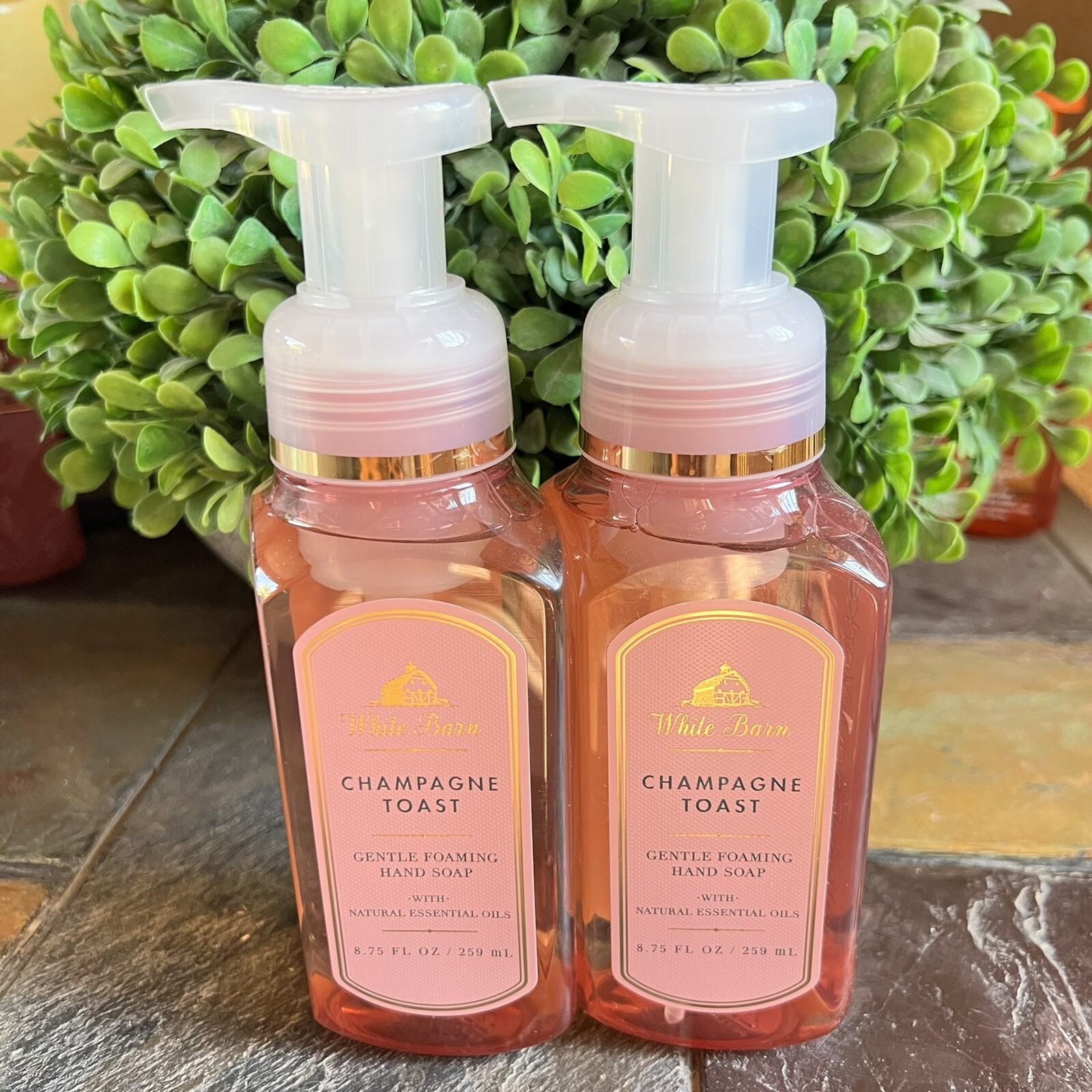 Bath & Body Works Foaming Hand Soap Lot Set of 2 Champagne Toast