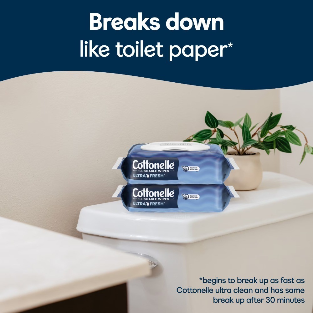 Flushable Wet Wipes Ultra Fresh Scent 2 Flip-Top Packs