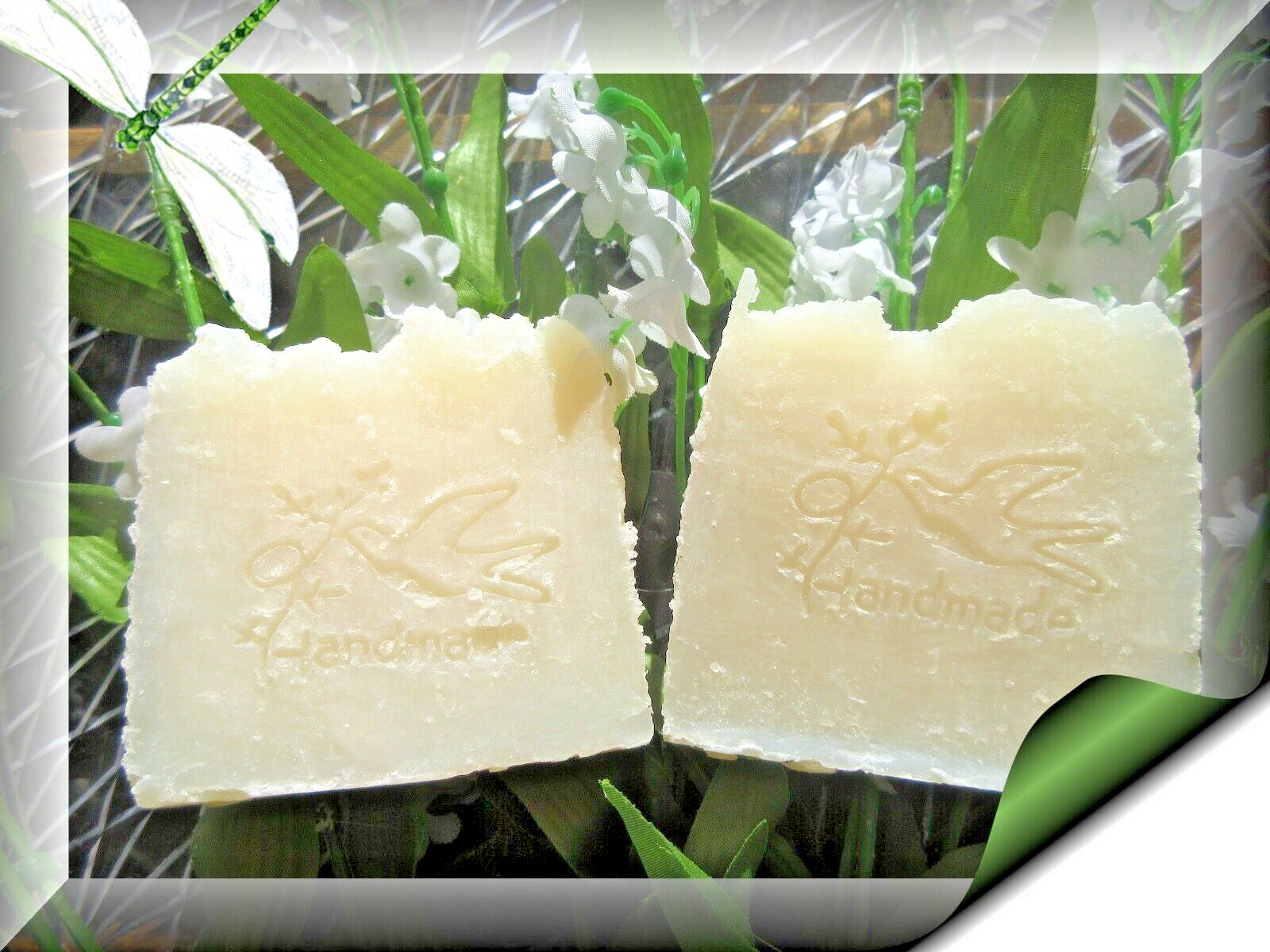 2 100% Organic Aloe Vera & Coconut Oil Shampoo & Body Bars LILY OF THE VALLEY