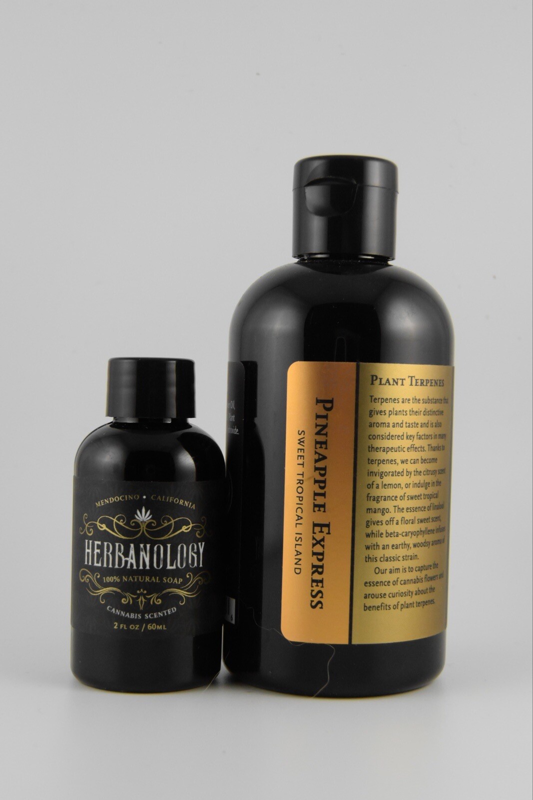 Herbanology 8oz Pineapple Express Organic Liquid Castile All Purpose Soap