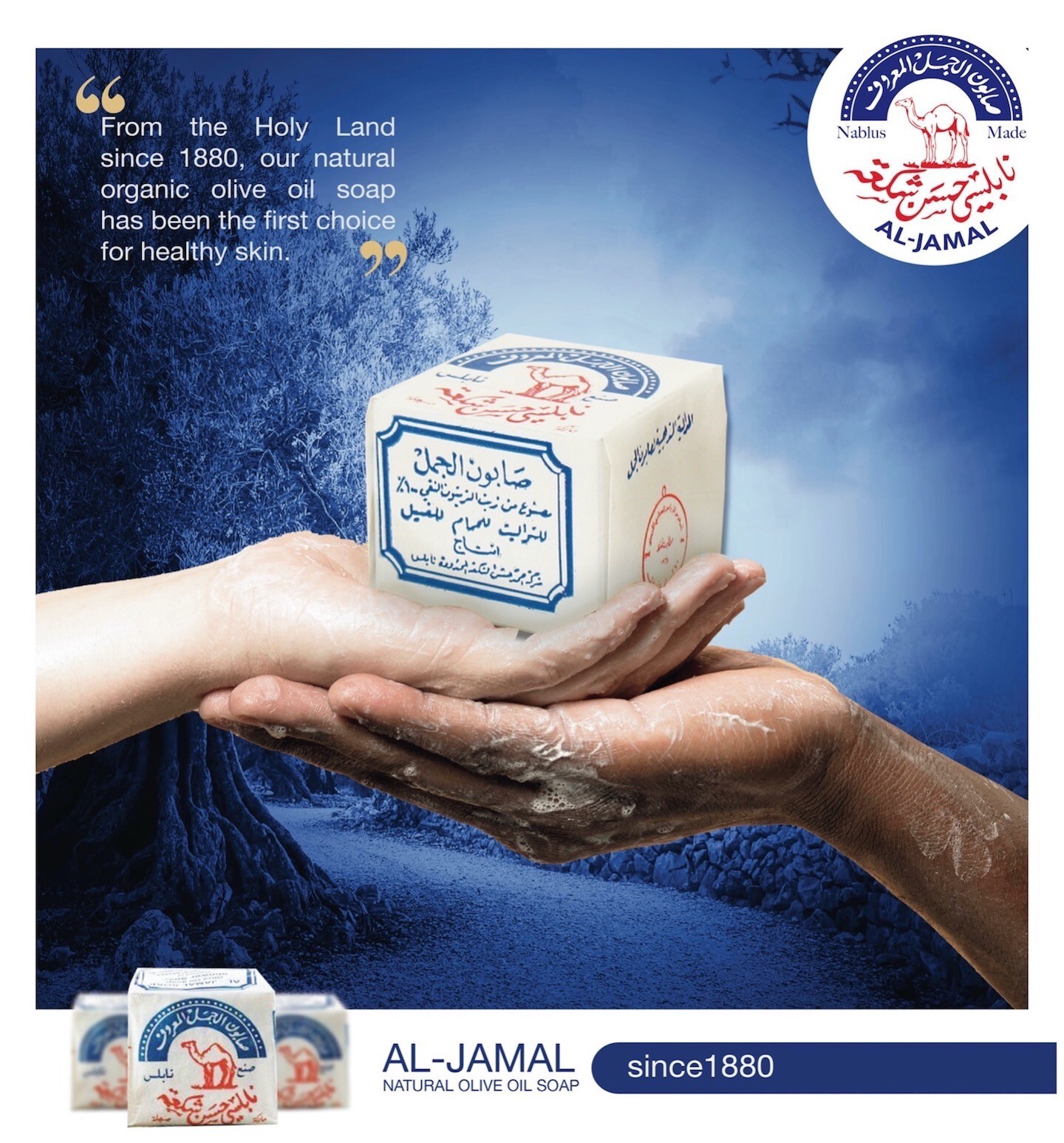 Al-Jamal Soap Bars Virgin Olive Oil OrganicTraditional Nablus Palestine Count 14