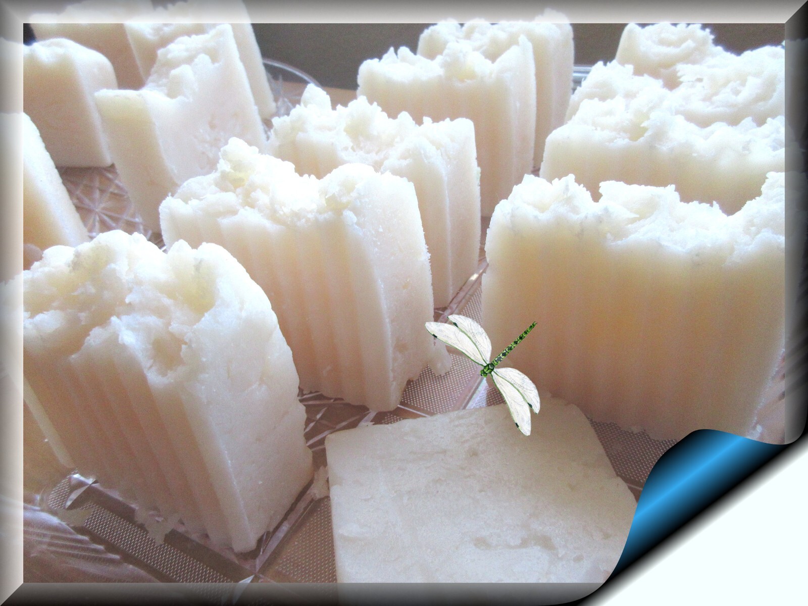 2 100% Organic Aloe Vera & Coconut Oil Shampoo & Body Bars LILY OF THE VALLEY