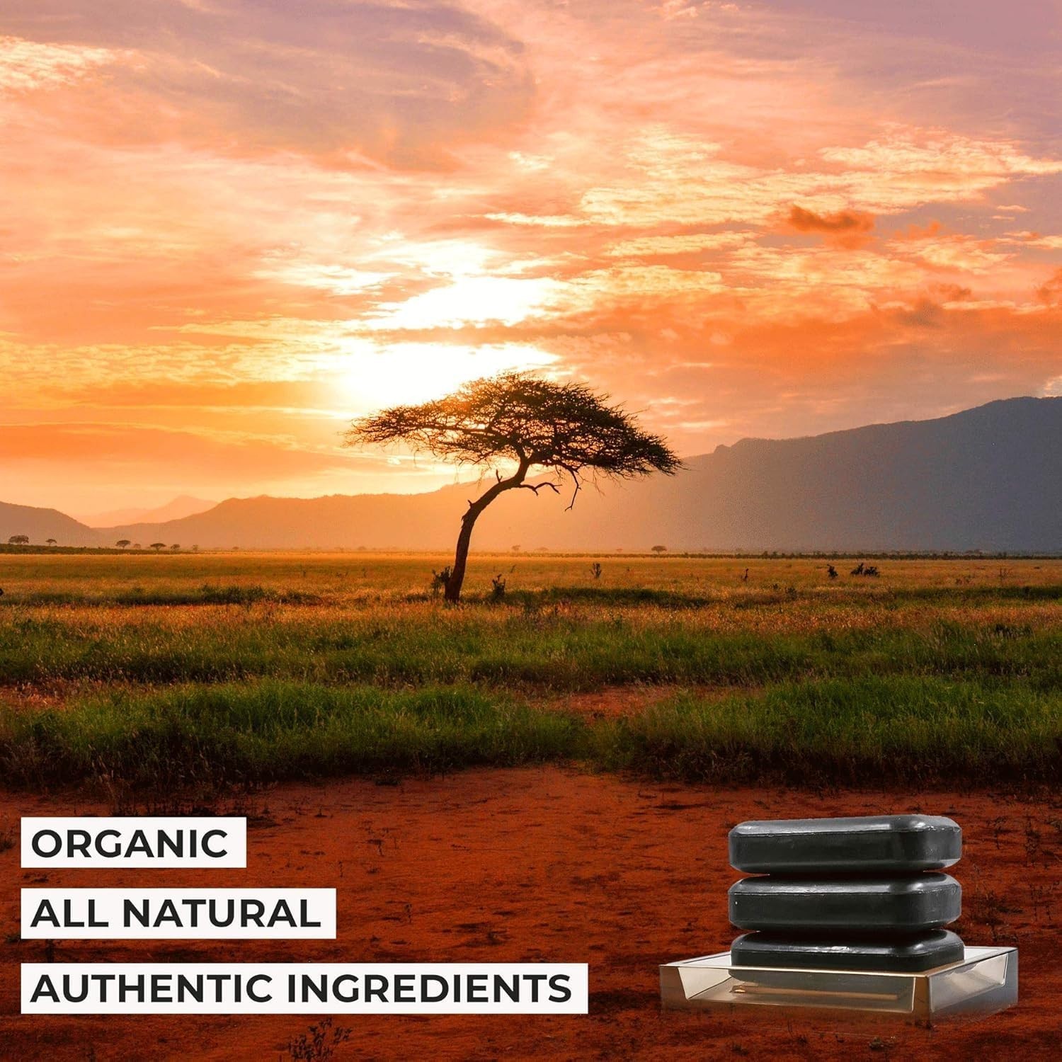 3-Pack Organic Soap Bar 4oz each Set – 100% Cold Process Body Wash Scented …