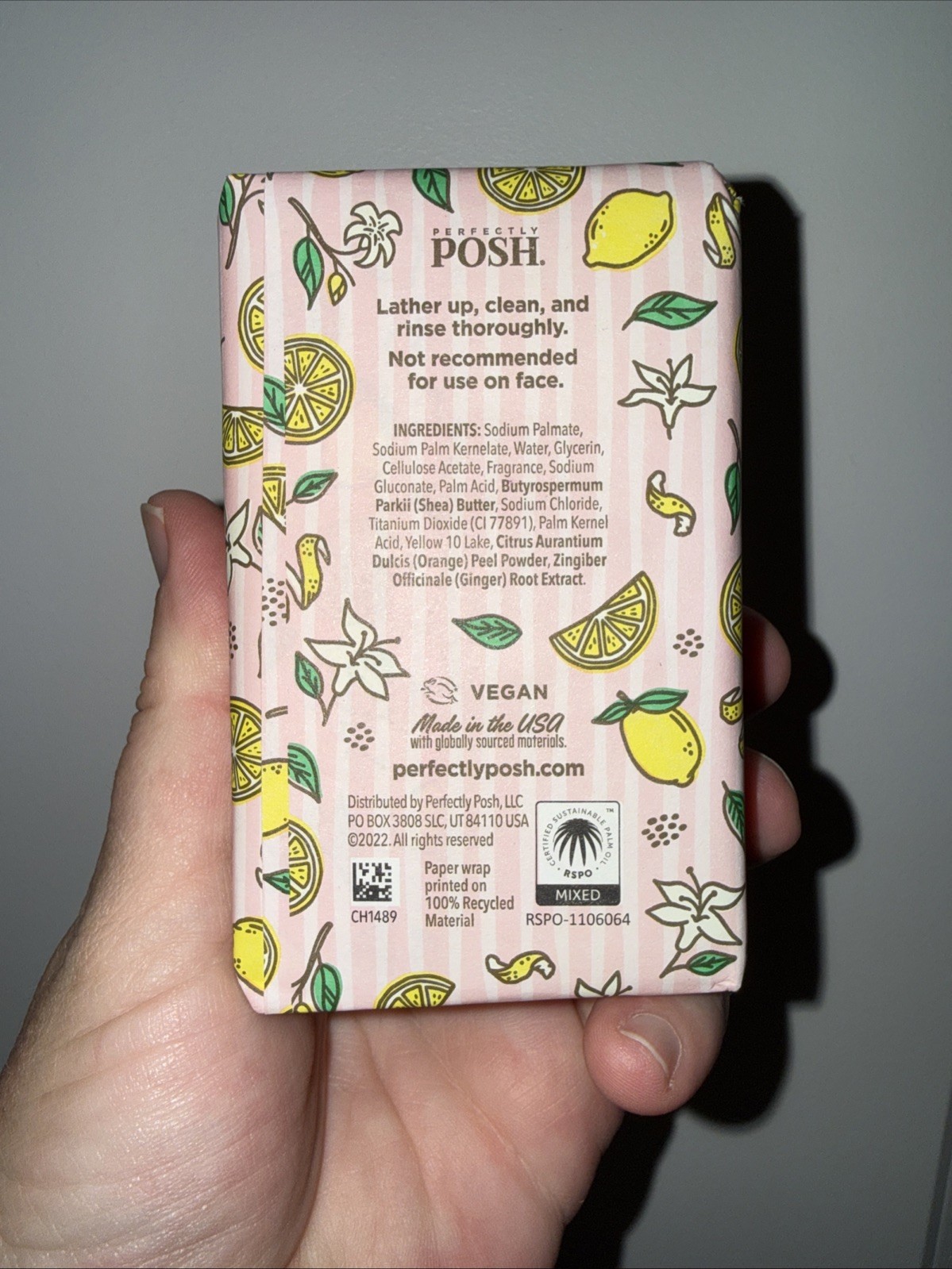 Perfectly Posh ZEST FRIEND Big Bath Bar Soap *SEALED* Citrus Ginger New