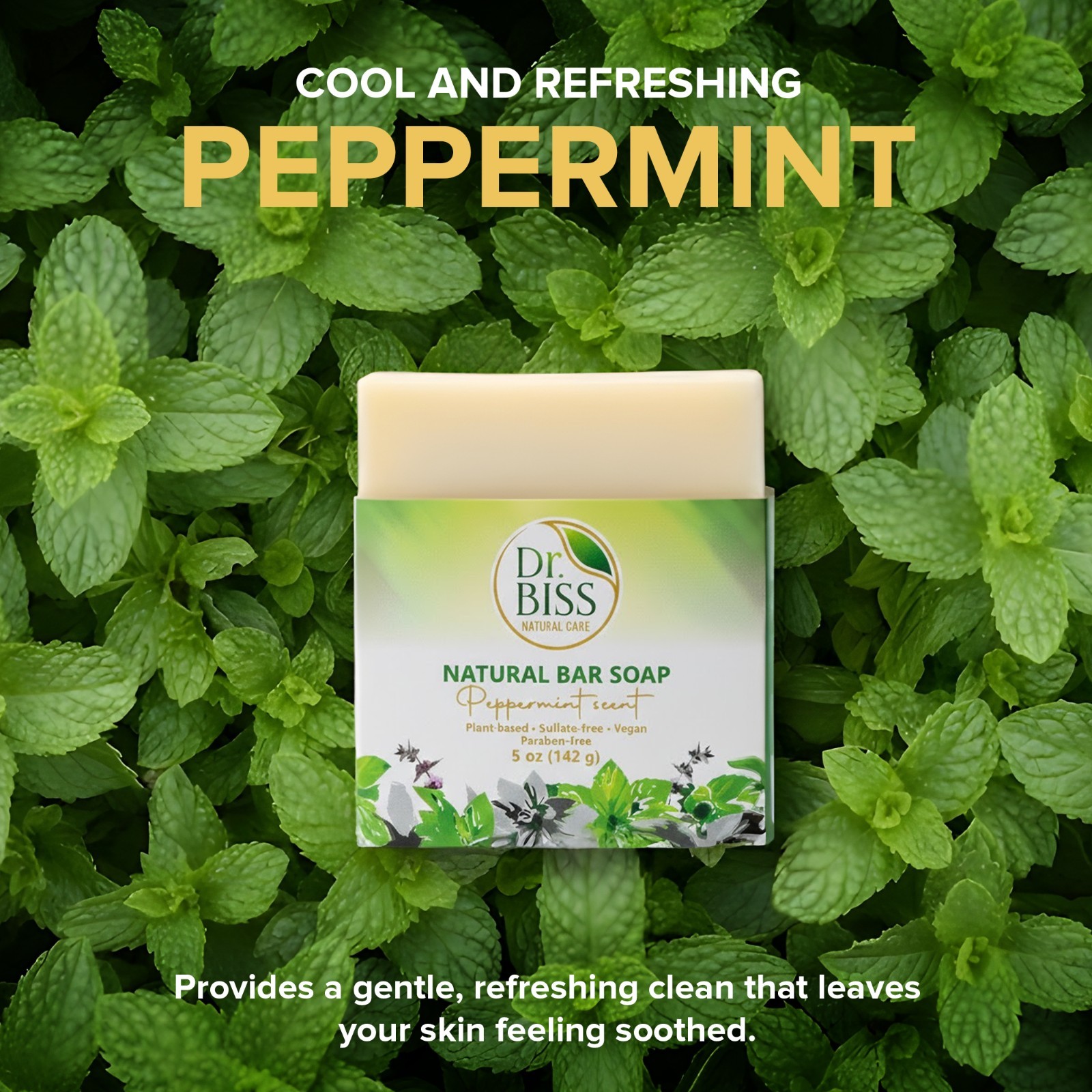Dr. BISS Olive Oil Blend Bar Soap 5 oz – Lavender, Peppermint & Unscented