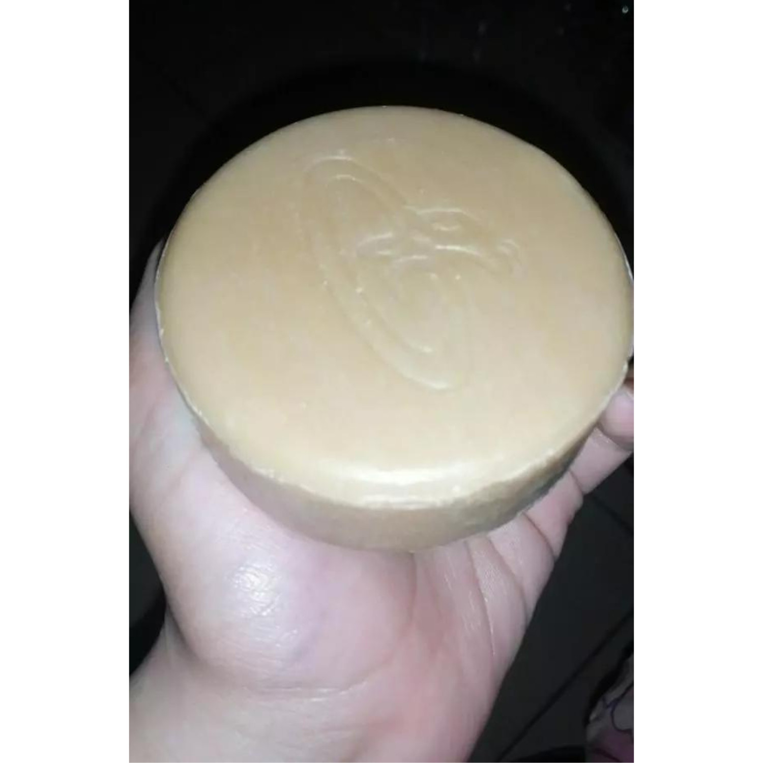 Original Gano Excel Soap Enrich Ganoderma & Goat Milk (2 Bar Per Box) Body Care