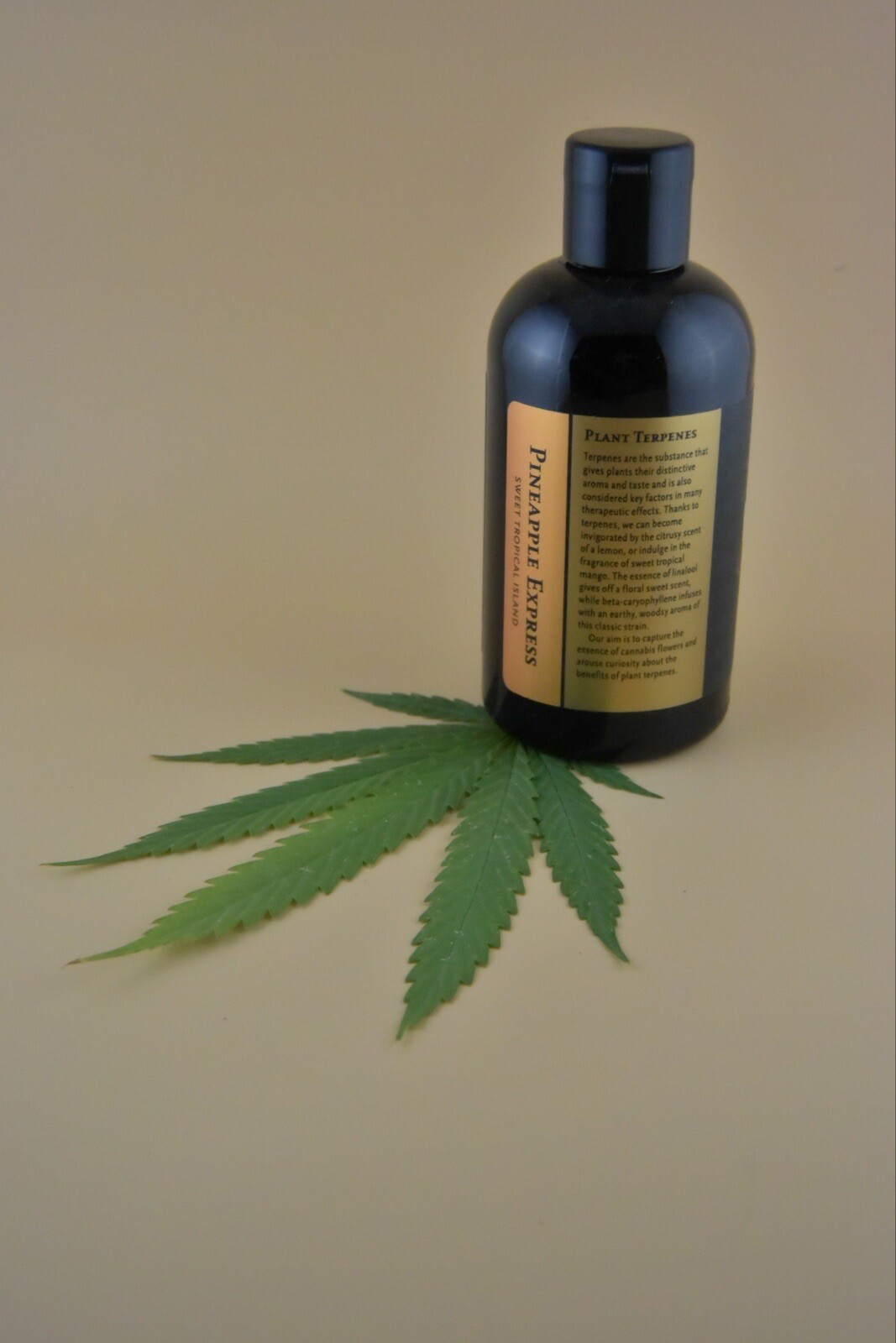 Herbanology 8oz Pineapple Express Organic Liquid Castile All Purpose Soap