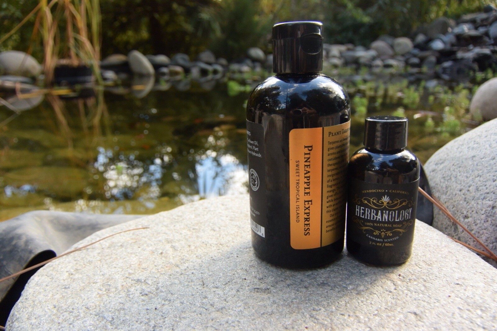 Herbanology 8oz Pineapple Express Organic Liquid Castile All Purpose Soap