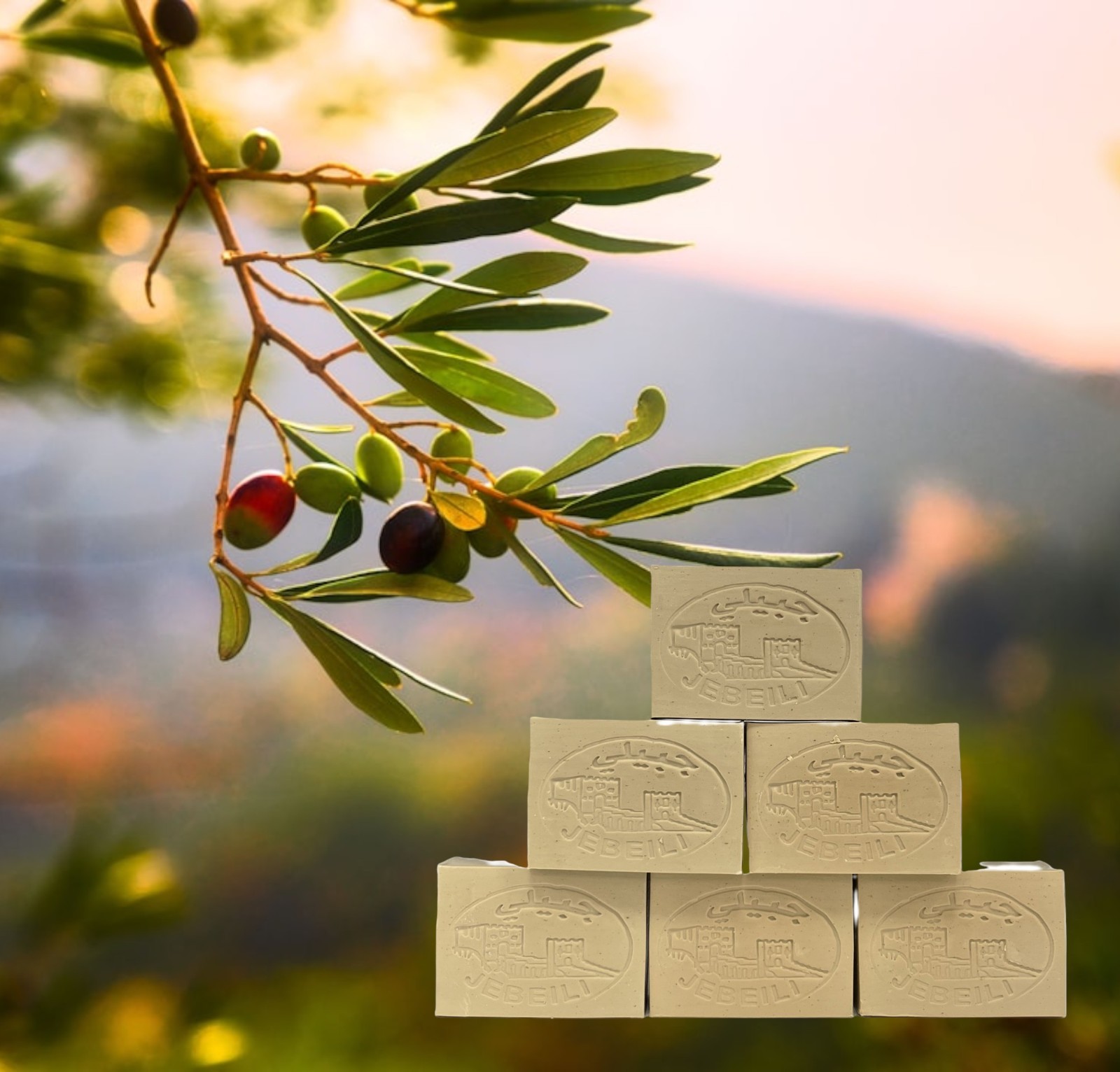 Authentic Alepo Soap Bar ⭐20 % Laurel Oil⭐80 % Olive Oil⭐ Traditionally Made