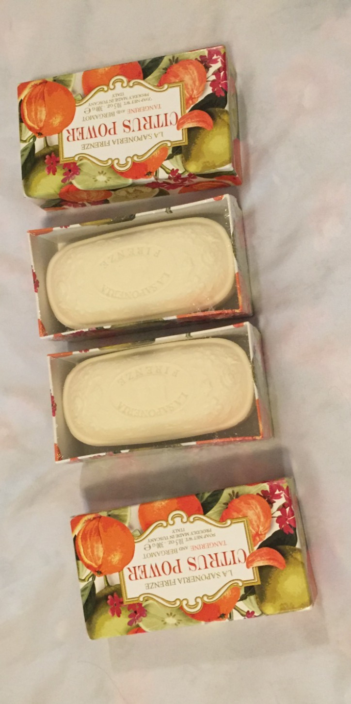 2 La Saponeria Firenze Citrus Power Scented Soap Bar Pair 10.5 oz Tuscany Italy