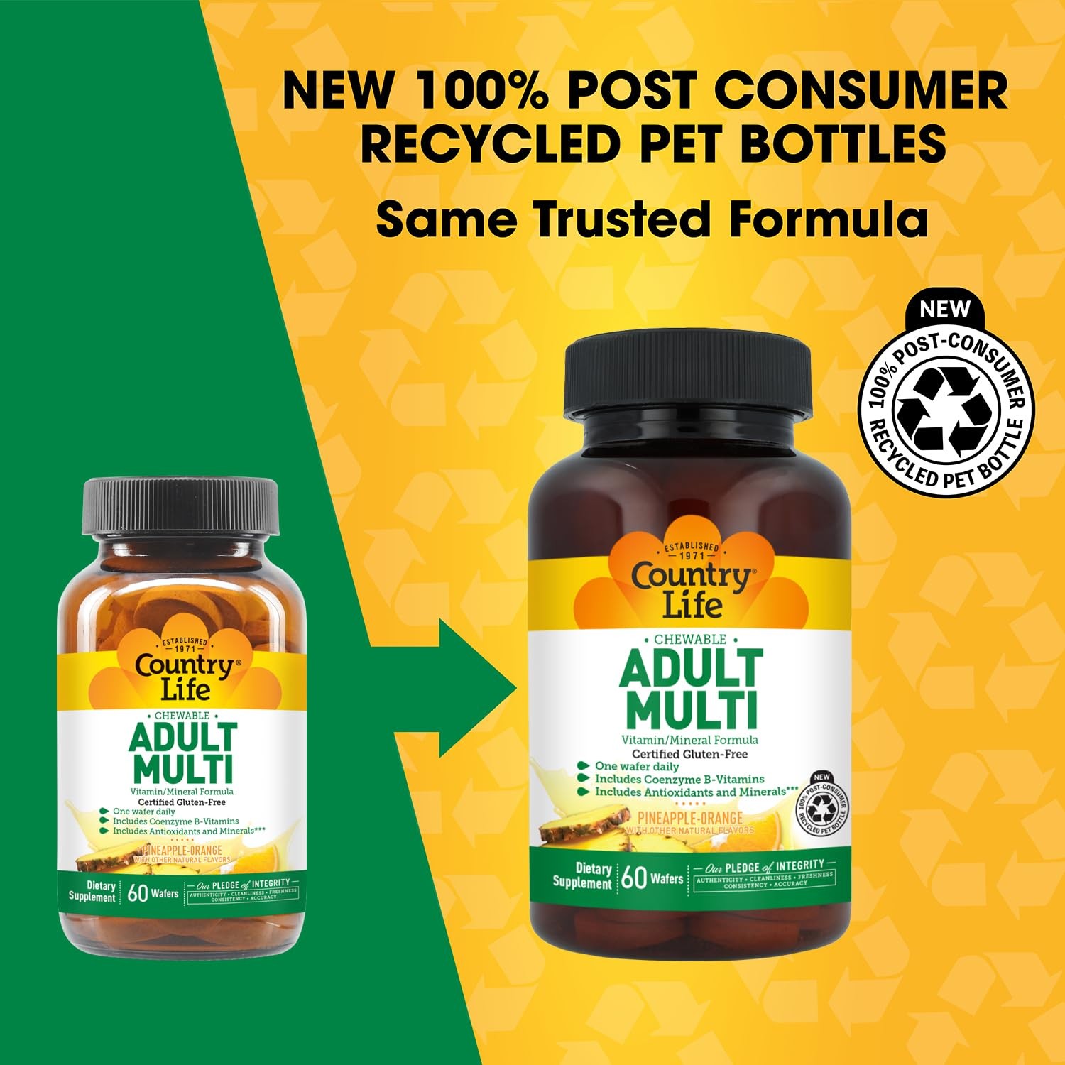 Country Life Adult Chewable Multivitamin with Coenzyme 60 Count (Pack of 1)