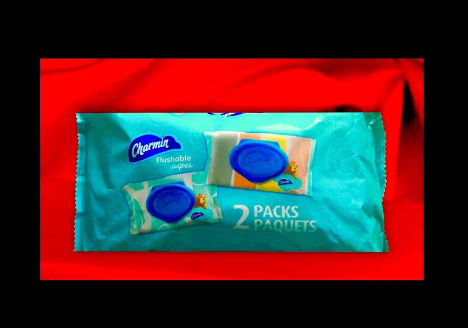 Charmin Flushable Wipes with flip top lids 80 count (2 x 40 Wipes) printed packs