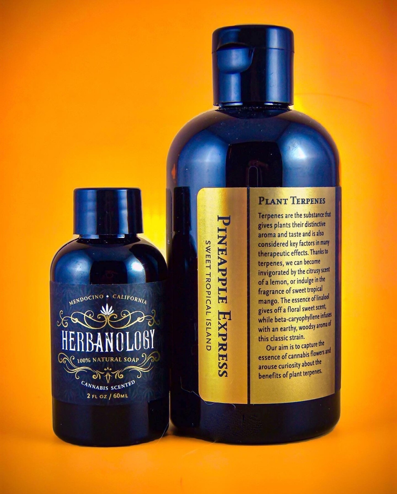 Herbanology 8oz Pineapple Express Organic Liquid Castile All Purpose Soap