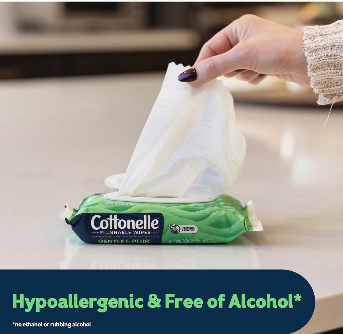 Cottonelle GentlePlus Flushable Wet Wipes, 4 Flip-Top Packs pack of 2