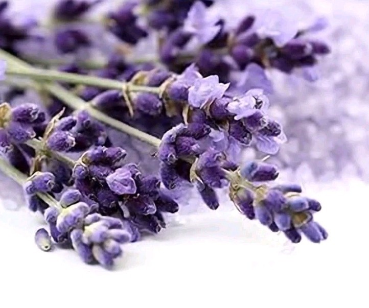 § YARDLEY LONDON (1) 4.0 Oz.🪻🫧 ●ENGLISH LAVENDER●🪻🫧 ≈NOURISHING≈ Bath Bars.